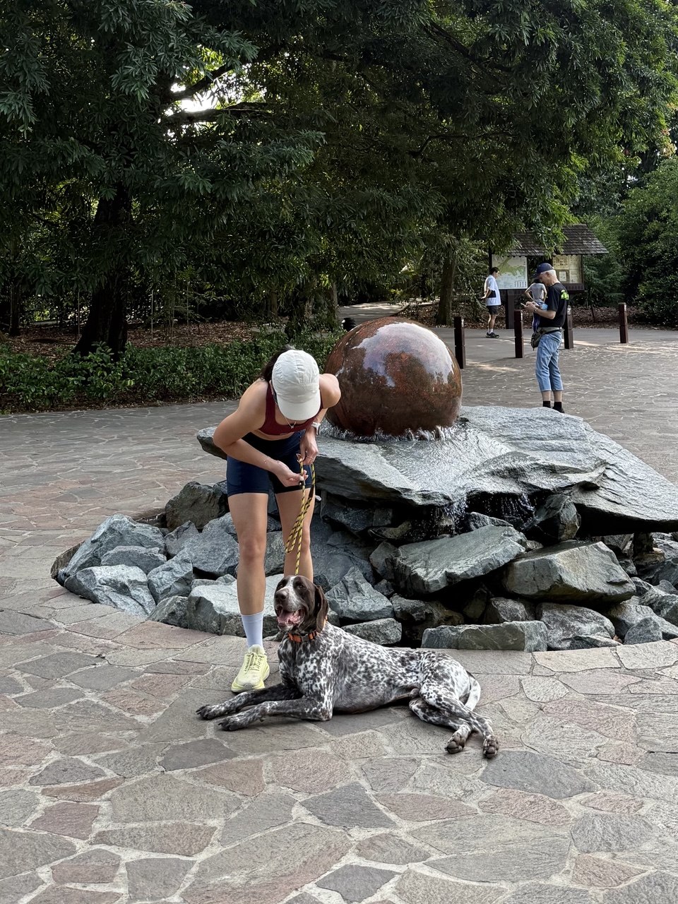 image-11