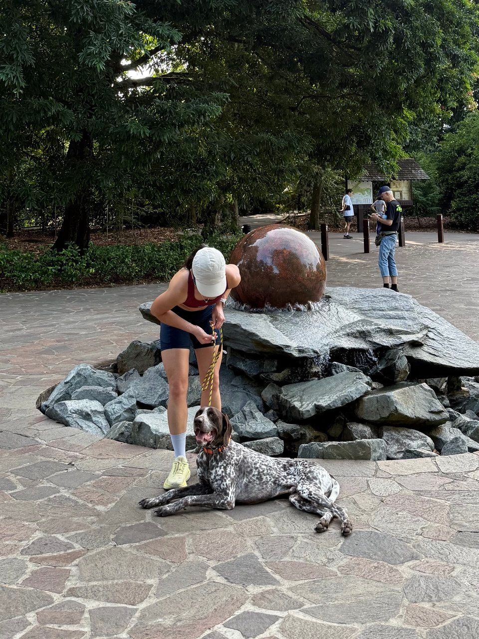 image-11