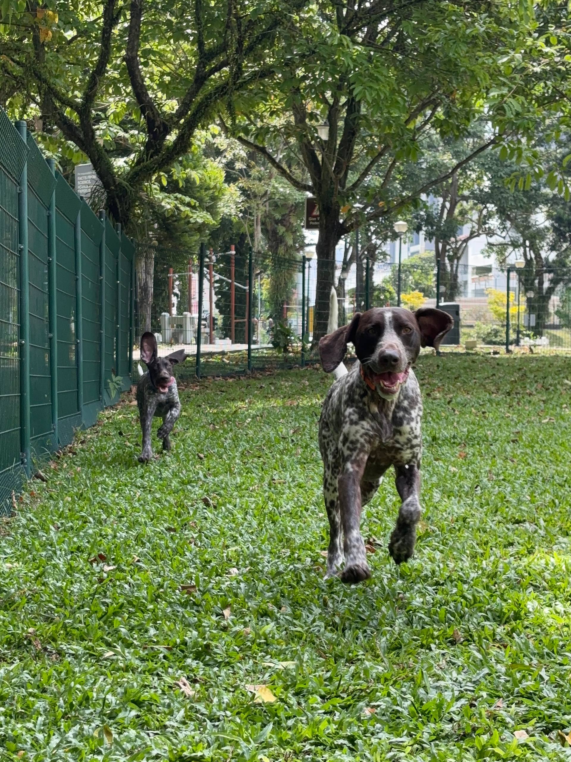 image-4