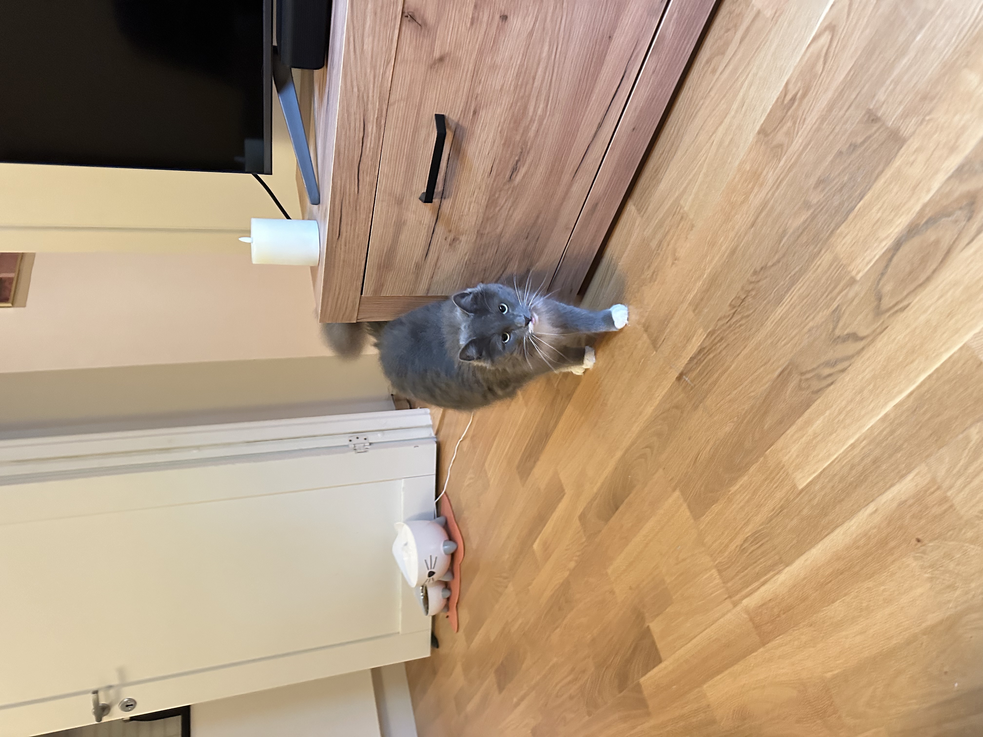 image-28