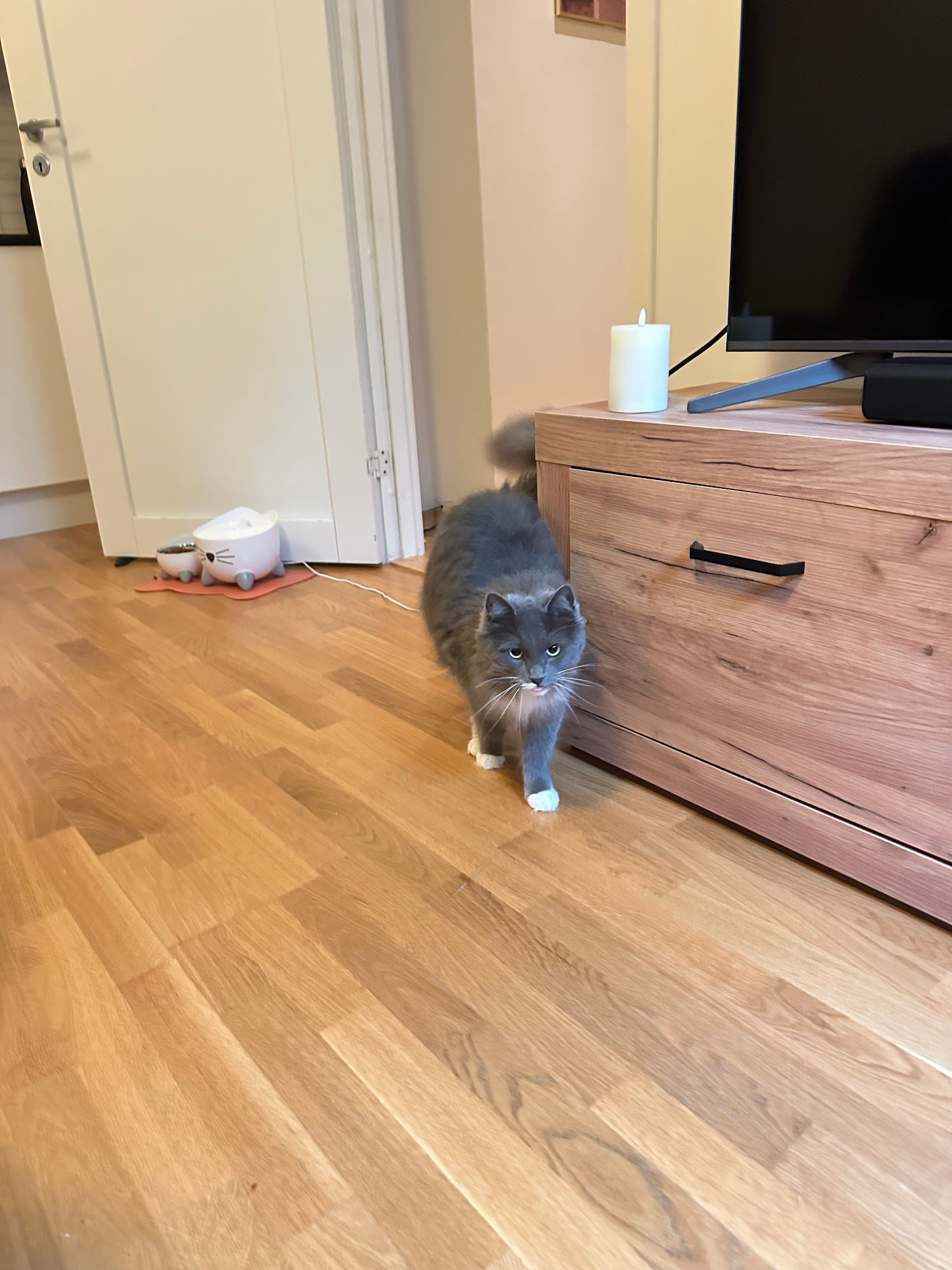 image-28