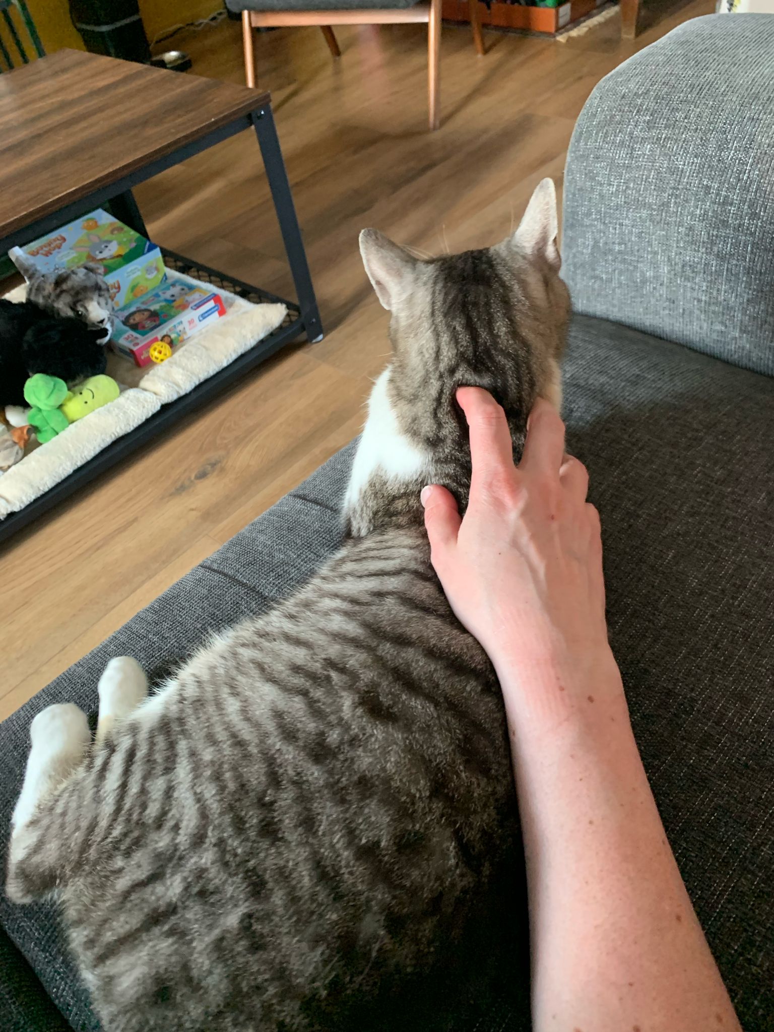 image-6