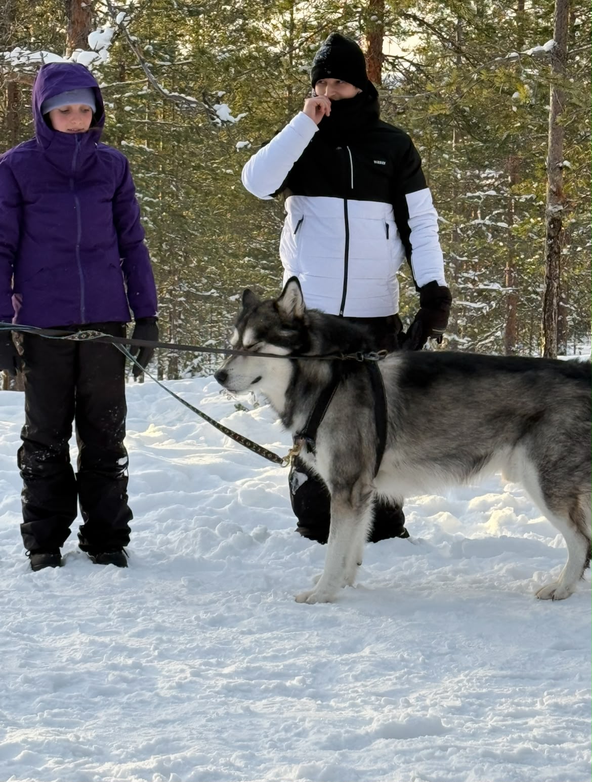 image-5
