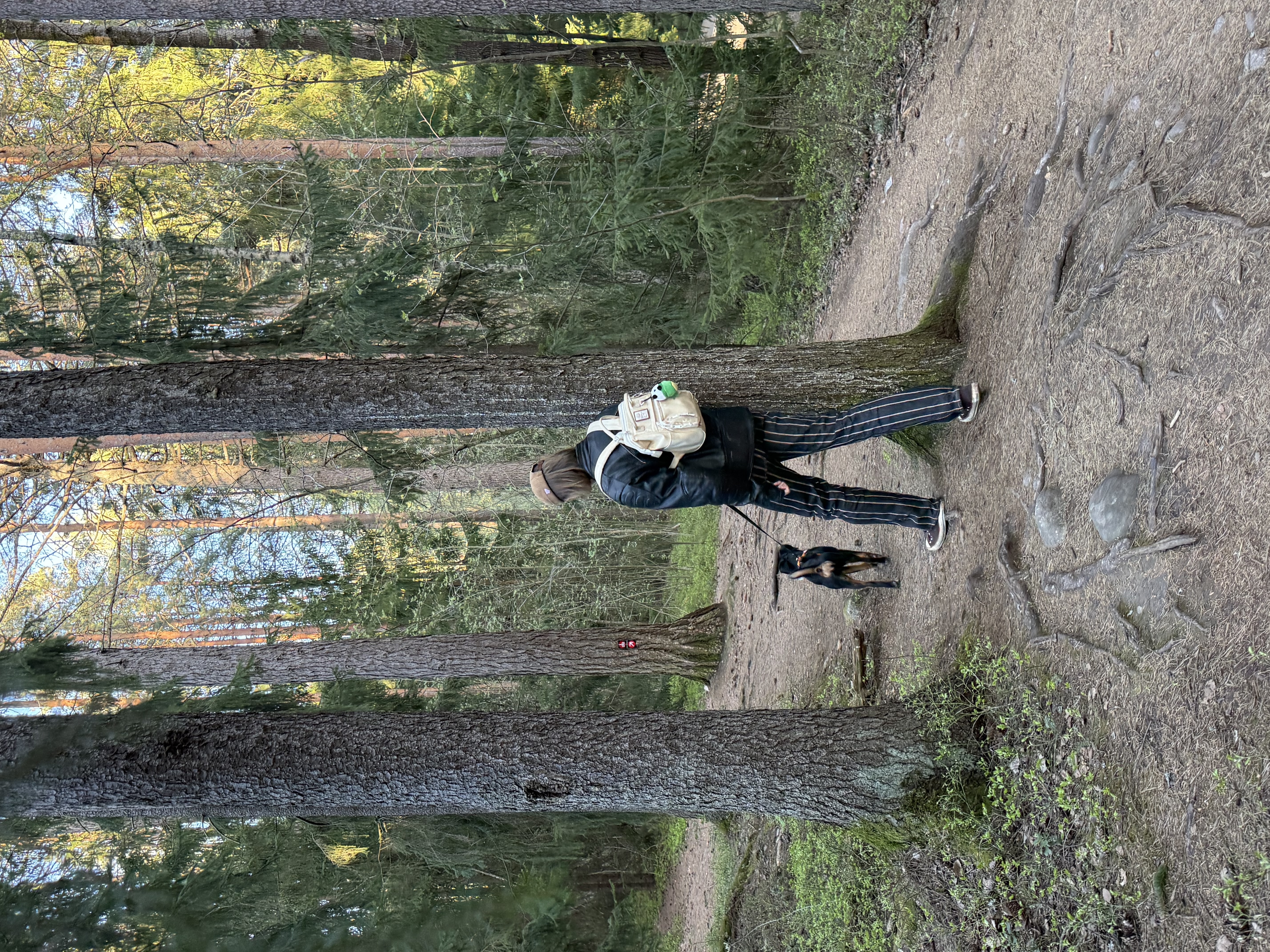 image-10