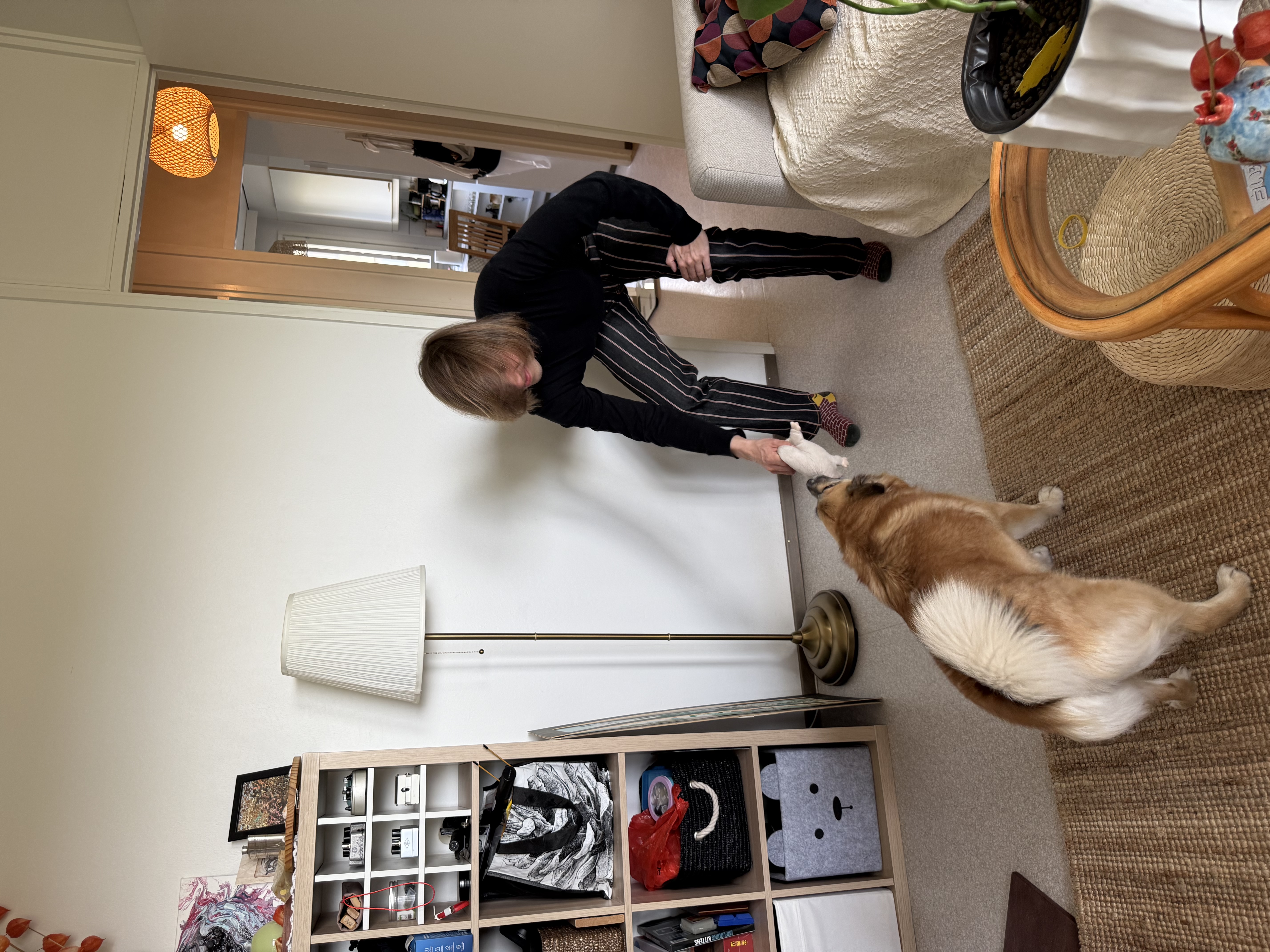 image-7