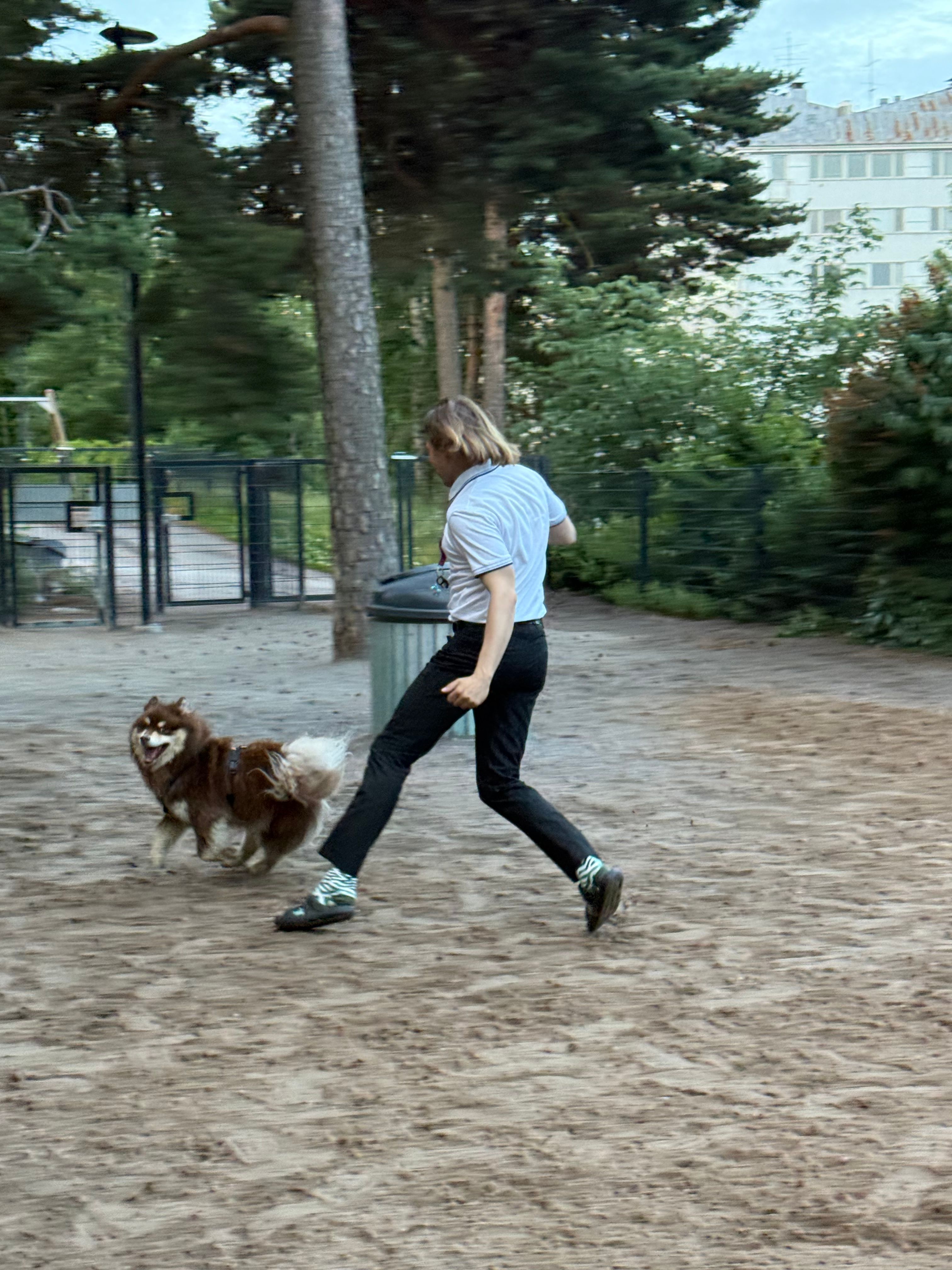 image-11