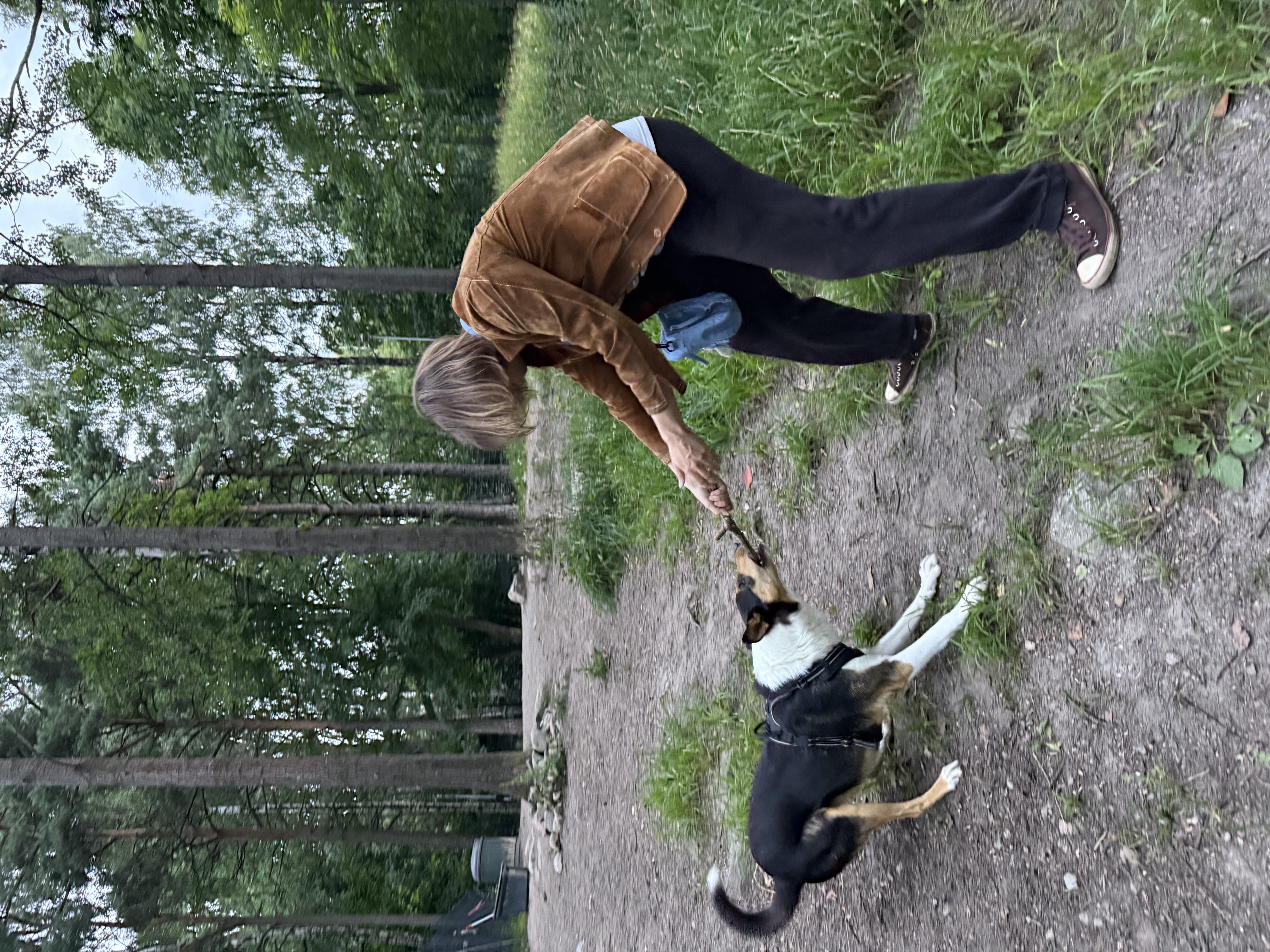 image-13