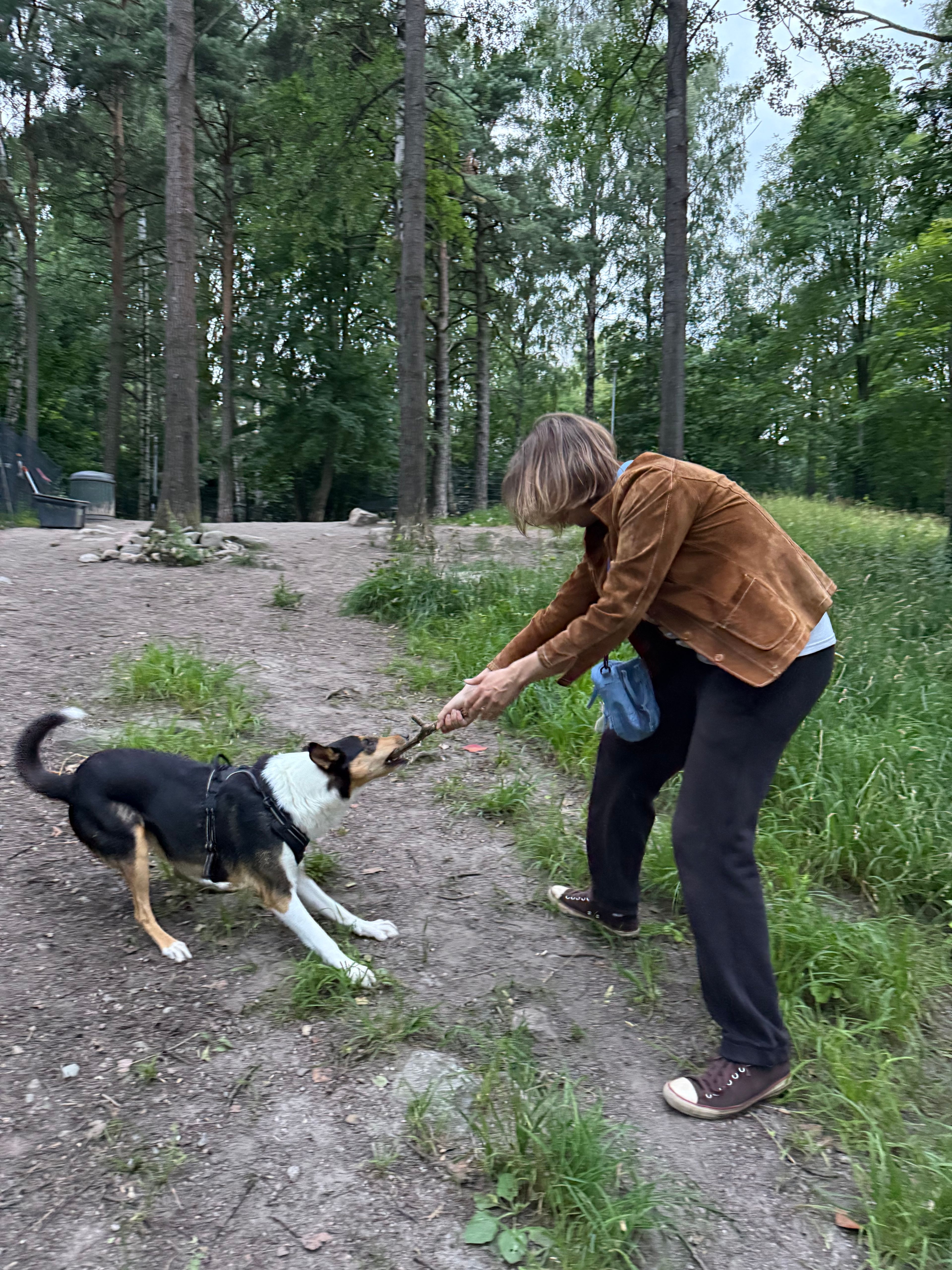 image-13