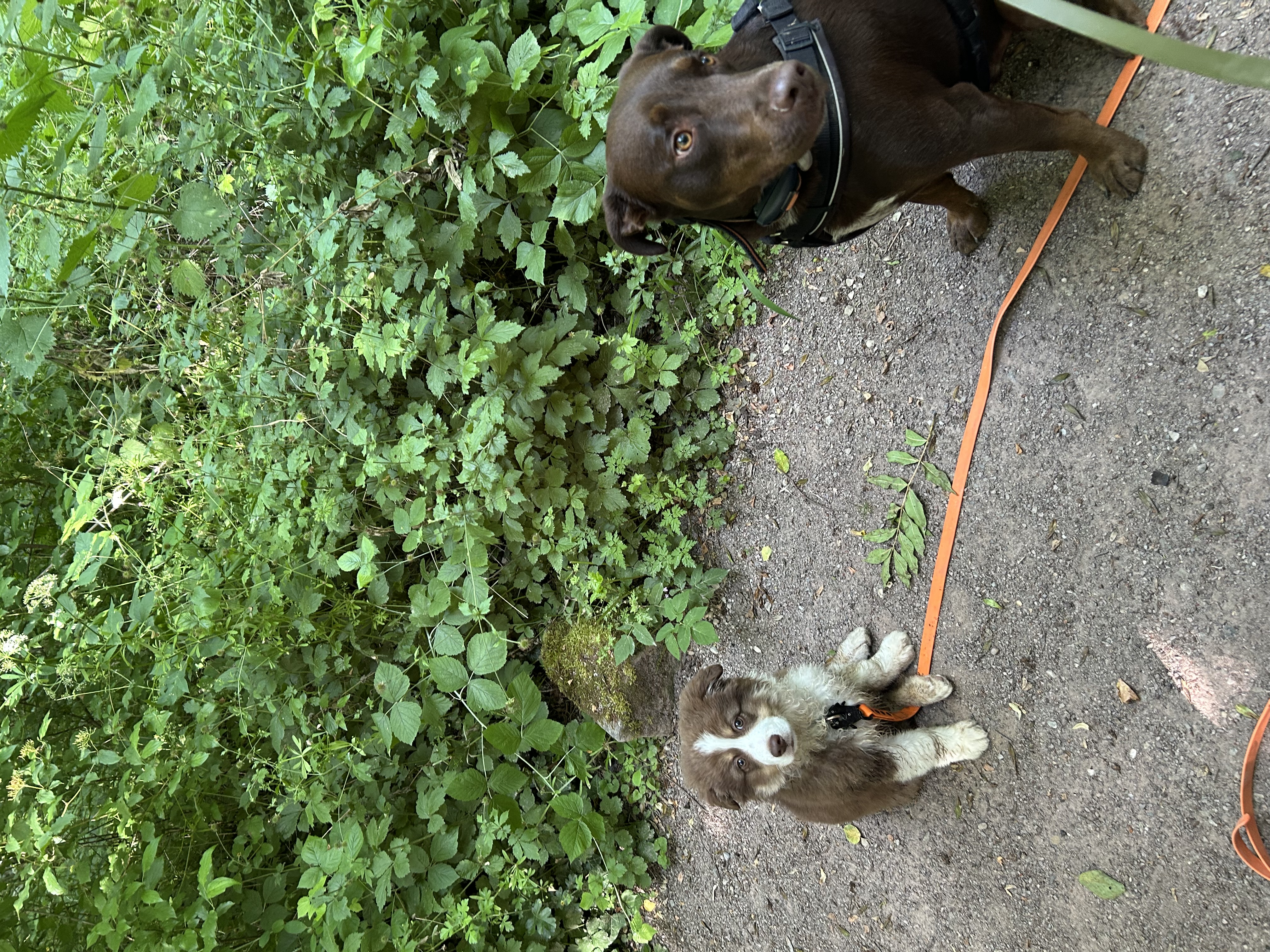 image-11