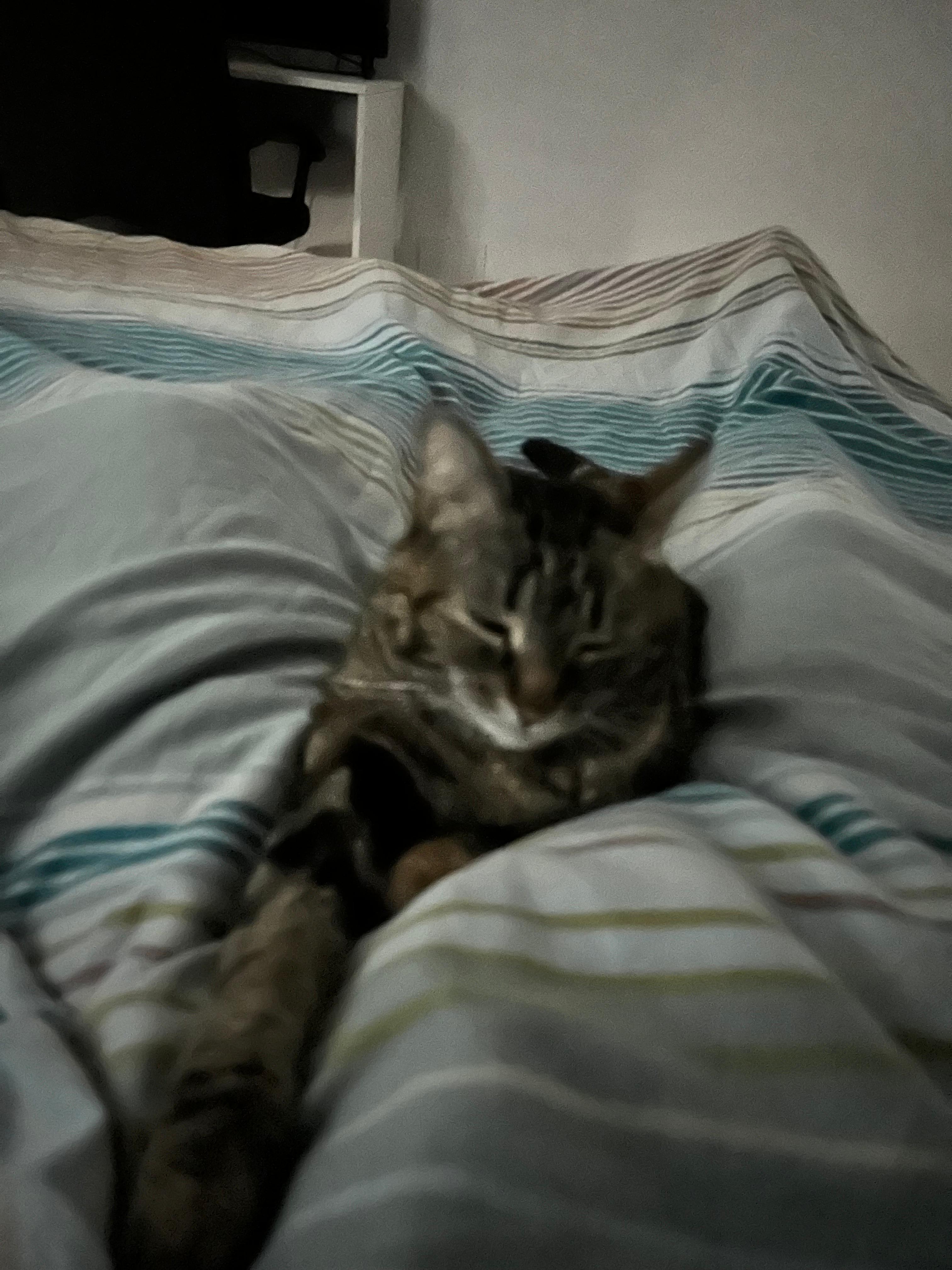 image-5
