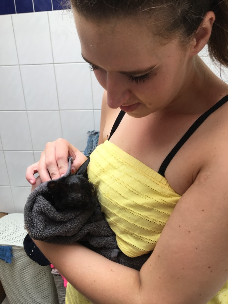 image-10