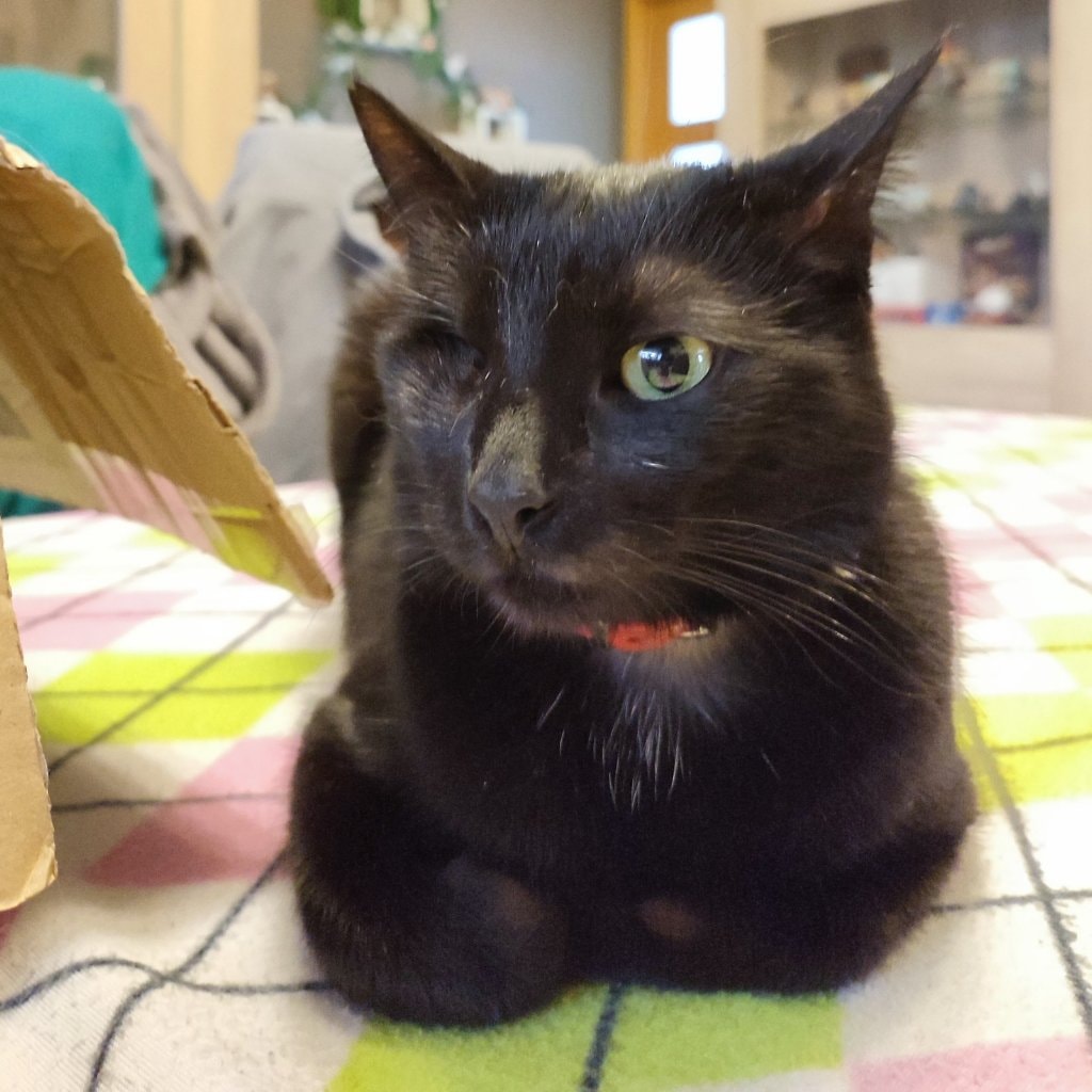Salem
