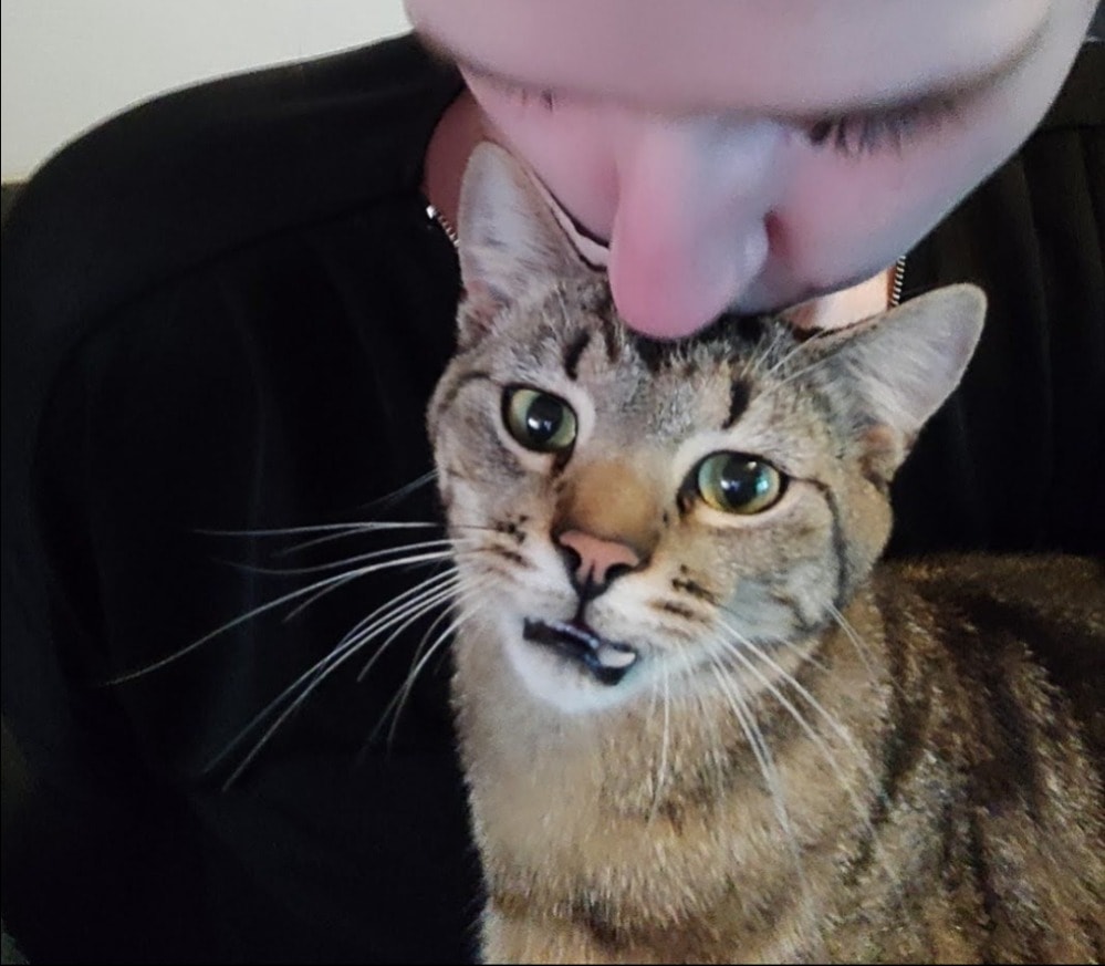 image-6