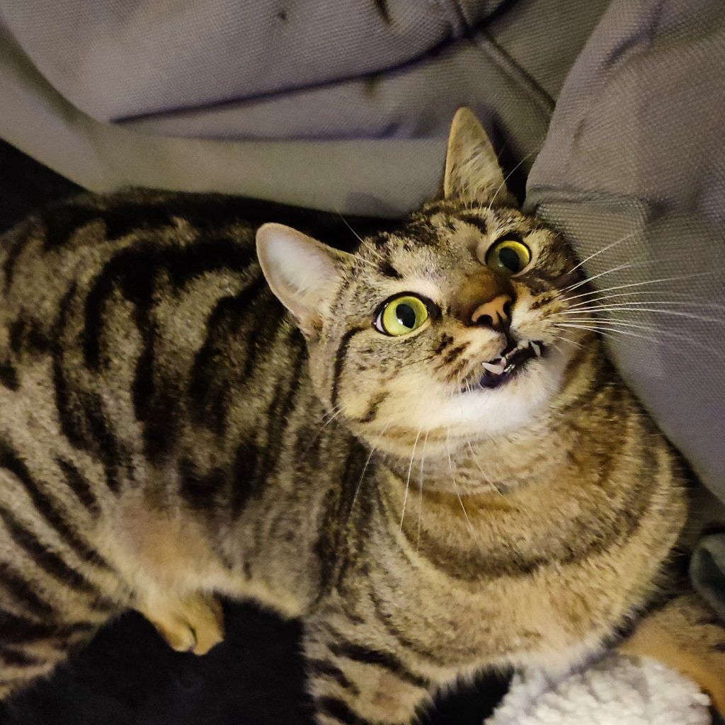 Loki