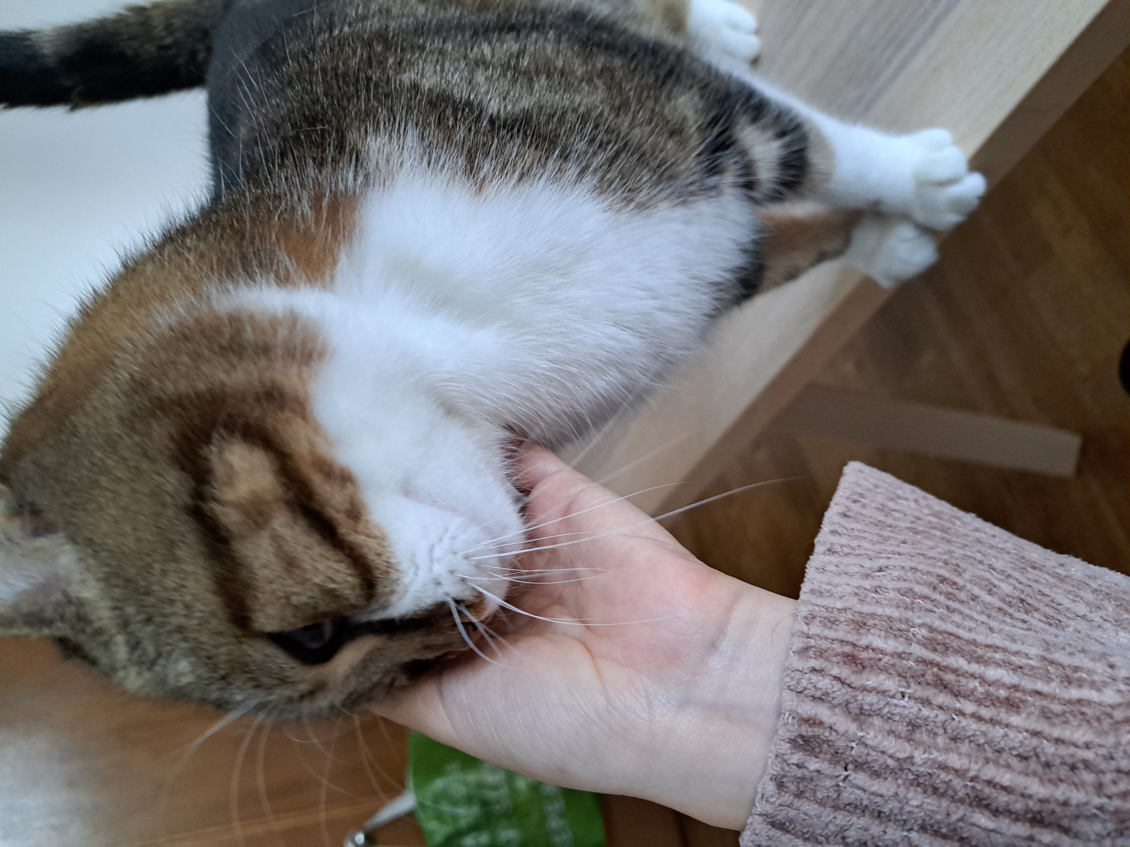 image-13