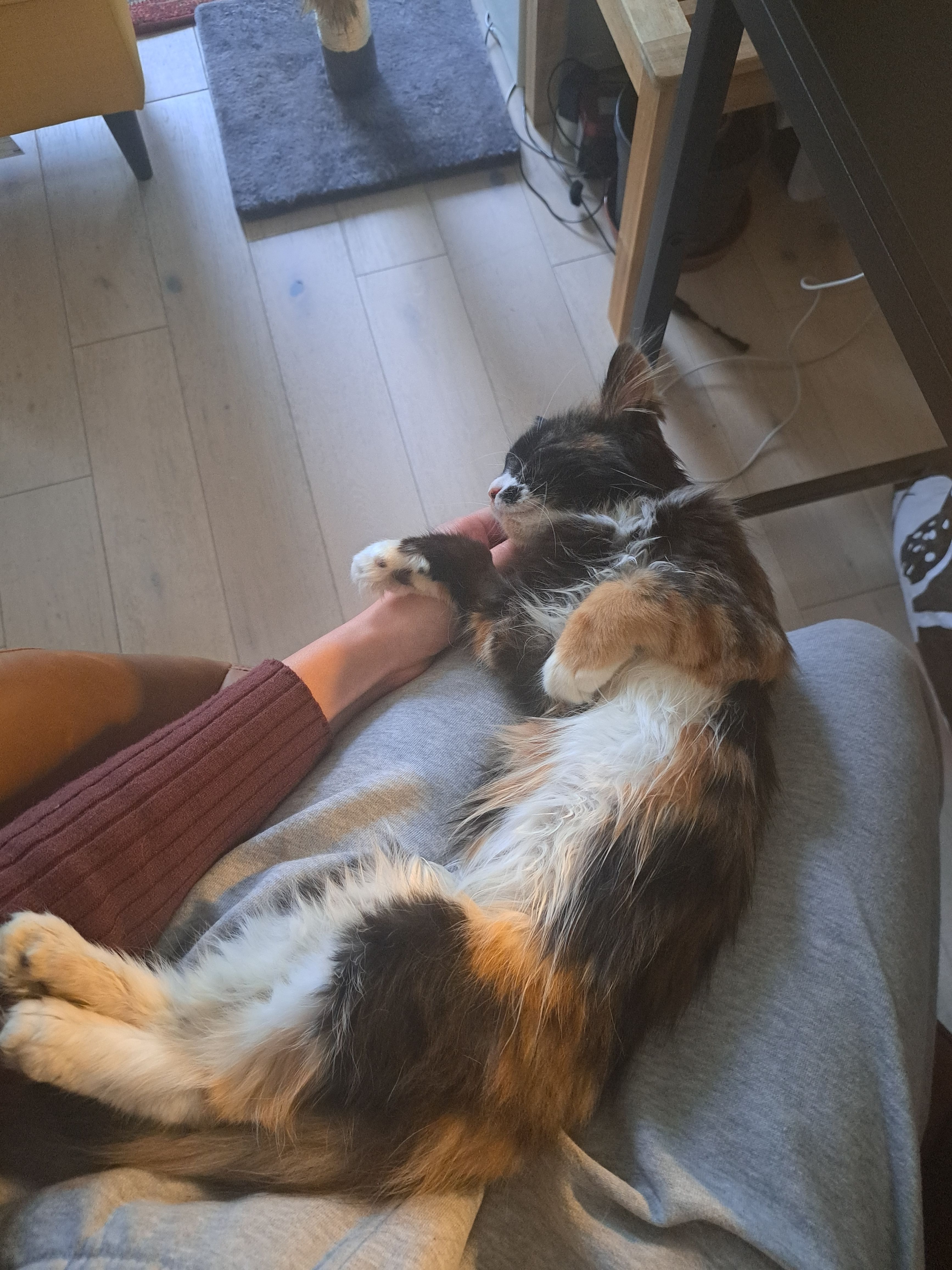 image-9