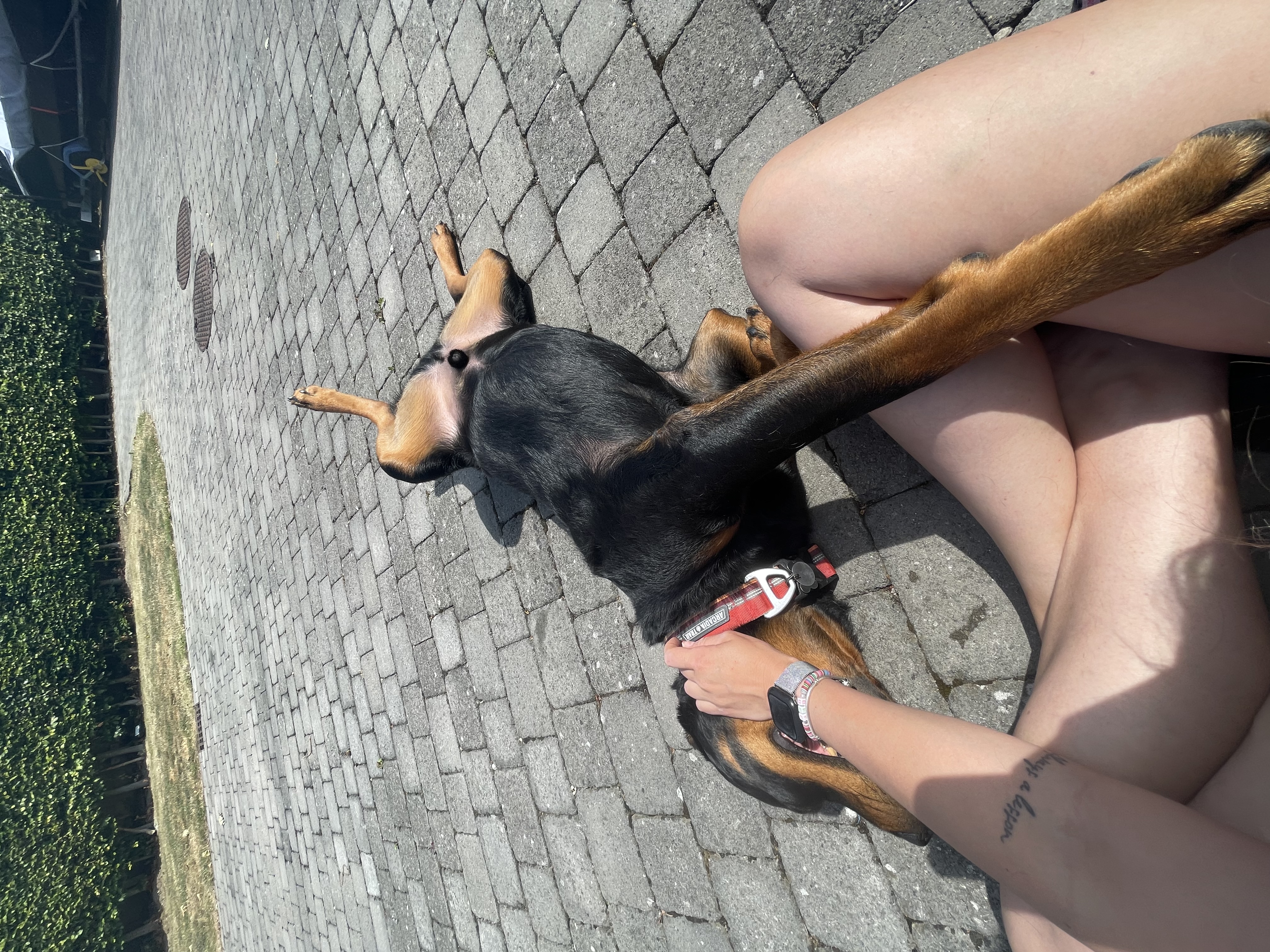 image-5