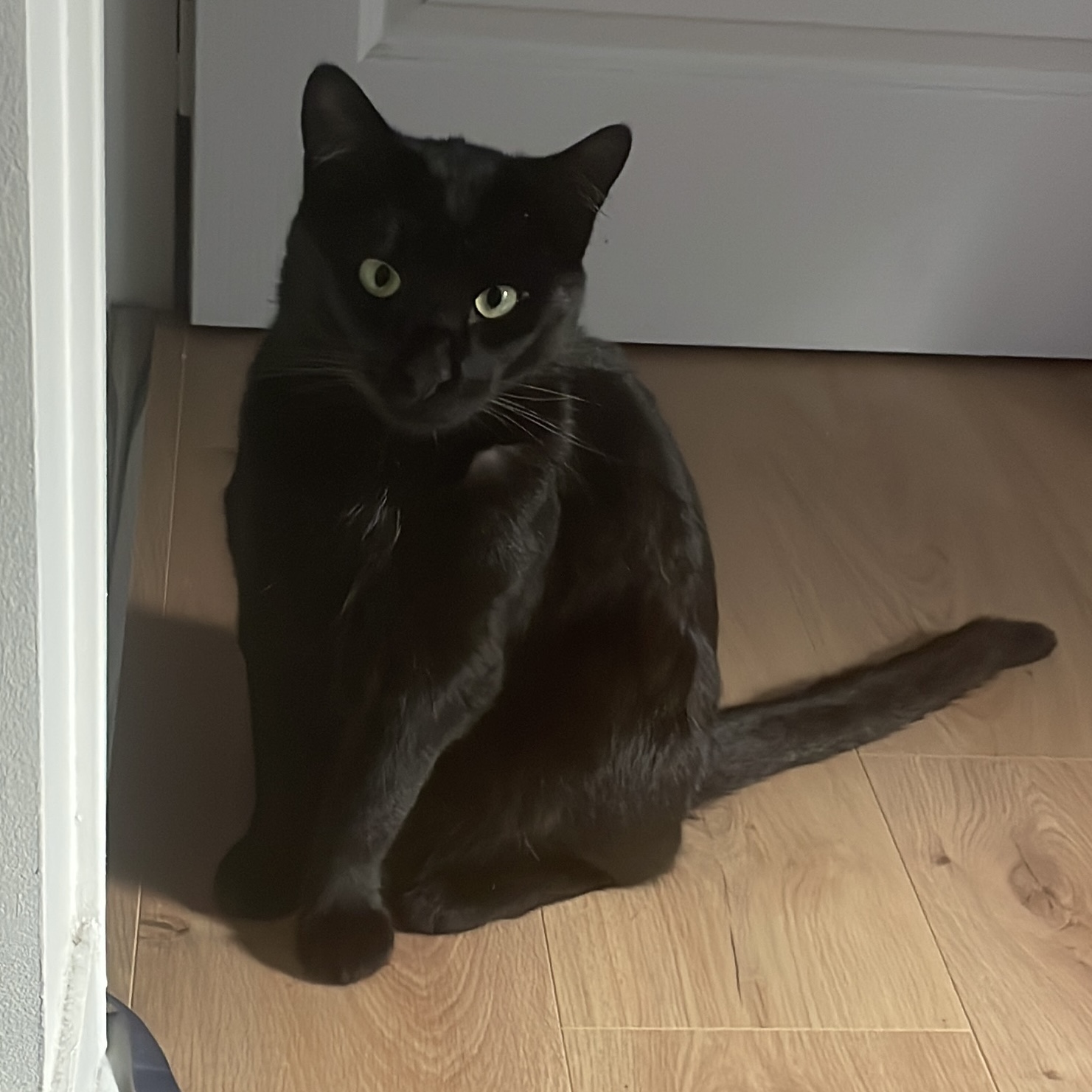 Nacho 