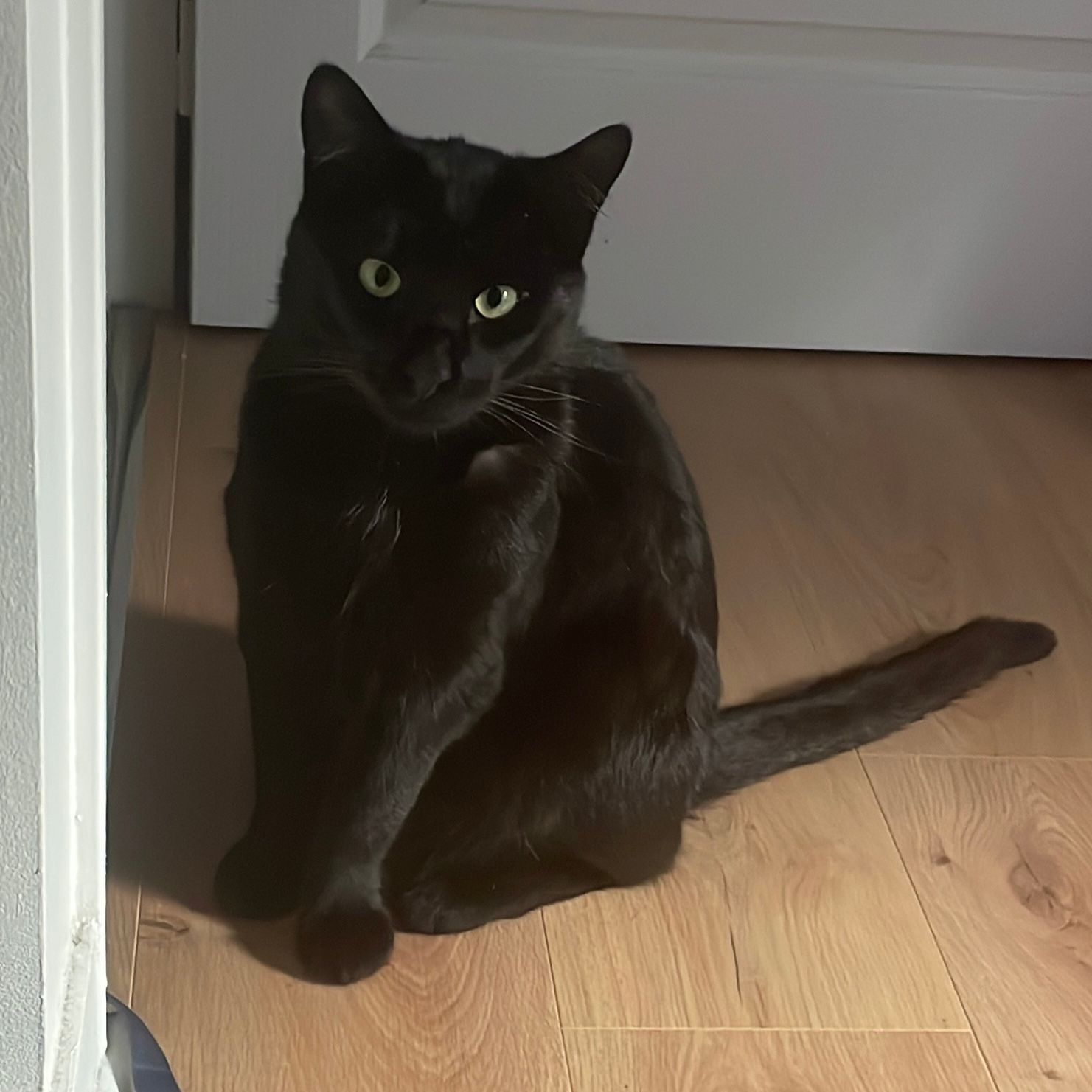 Nacho