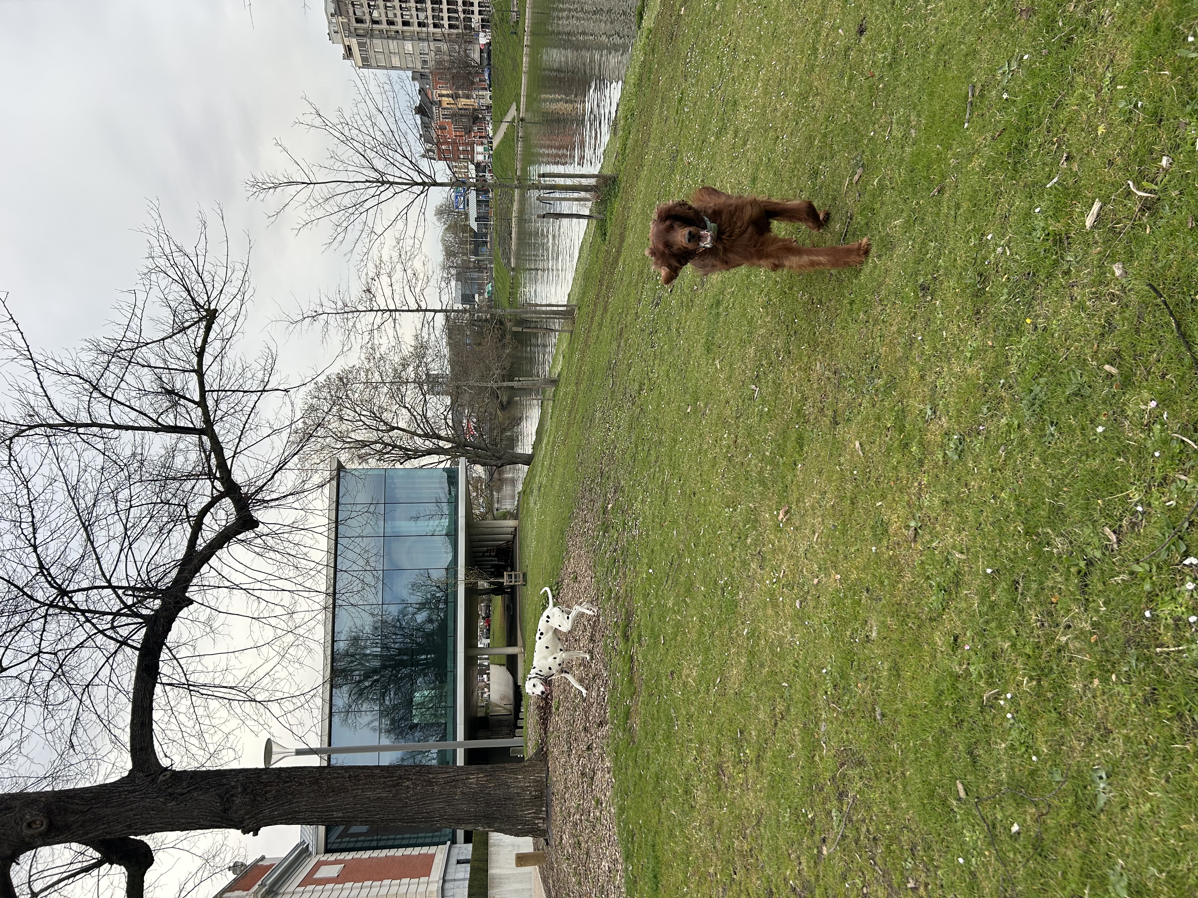 image-14