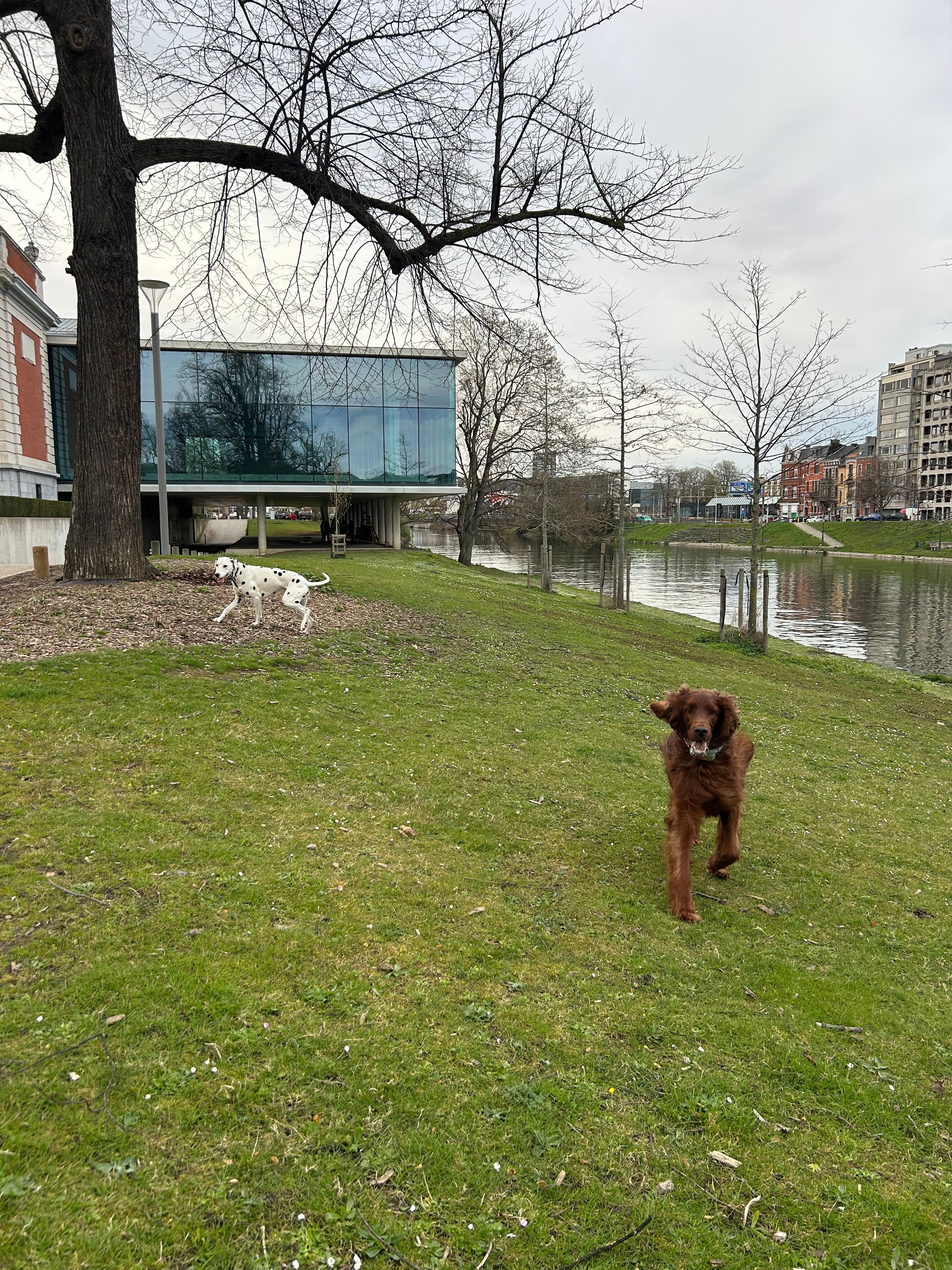 image-14