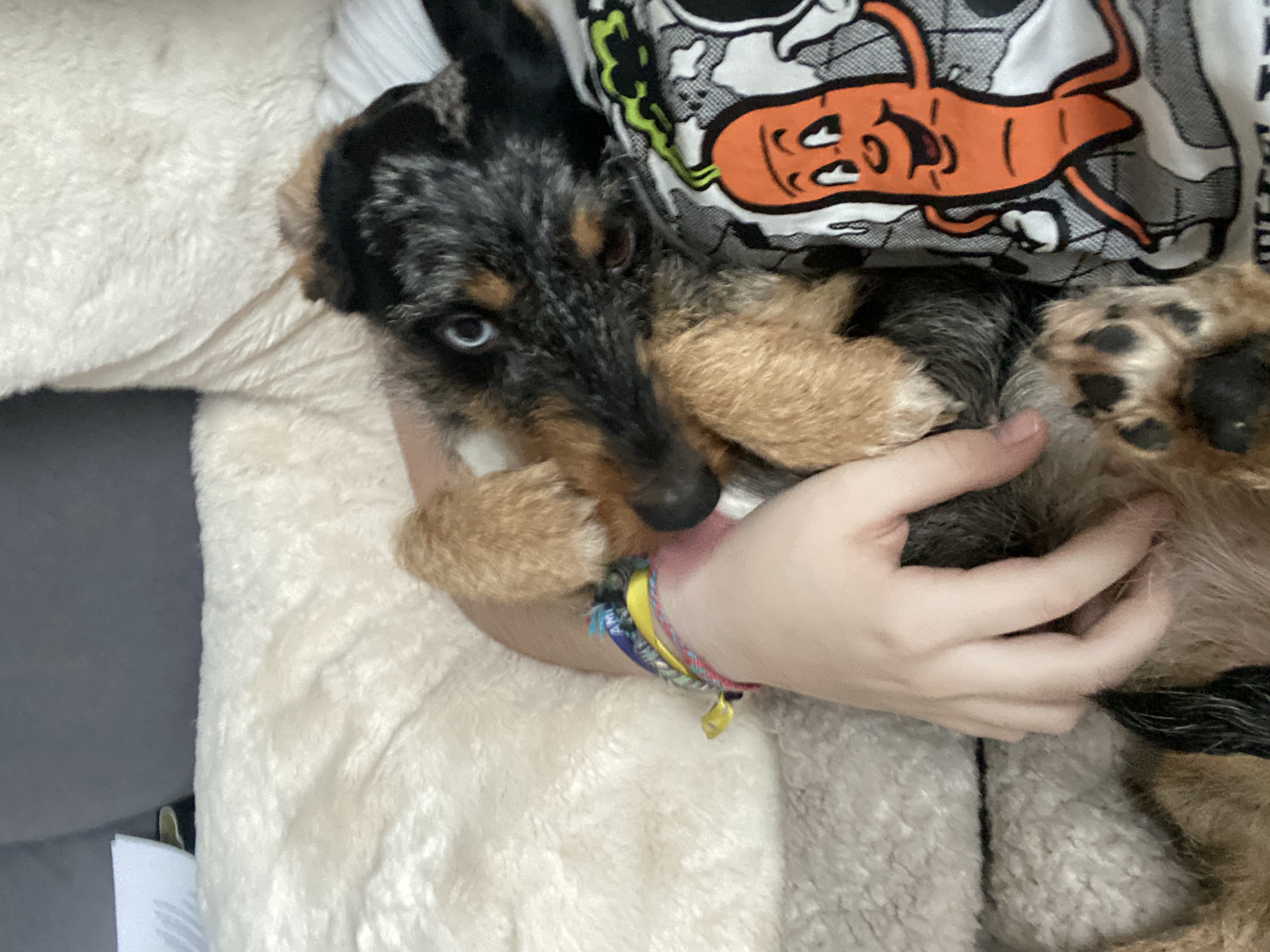 image-7