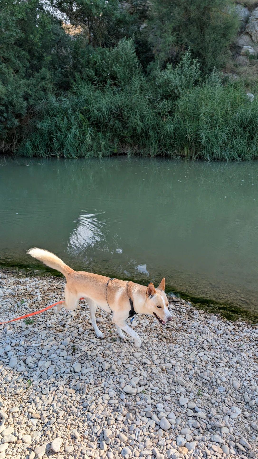 image-9