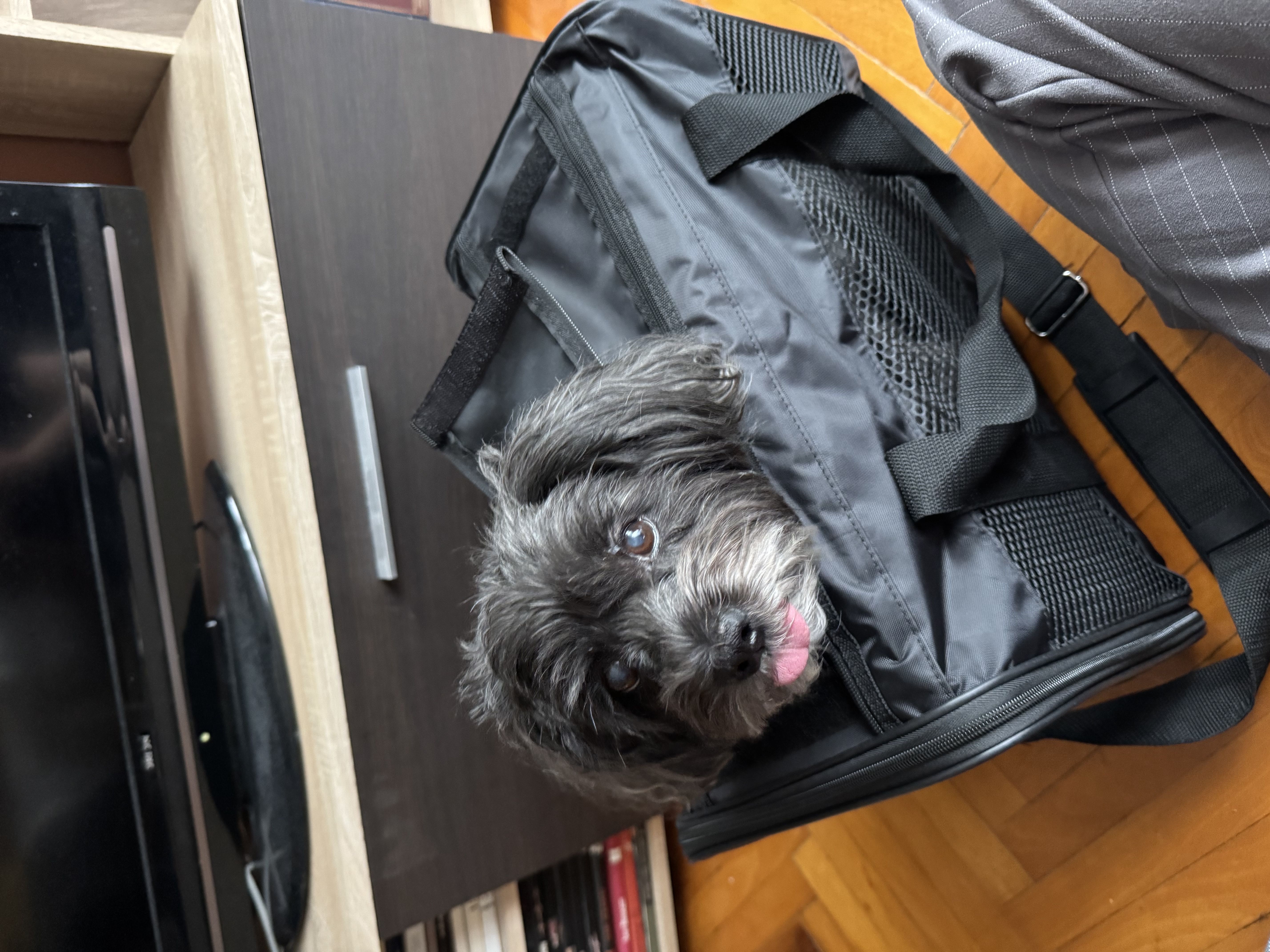 image-8