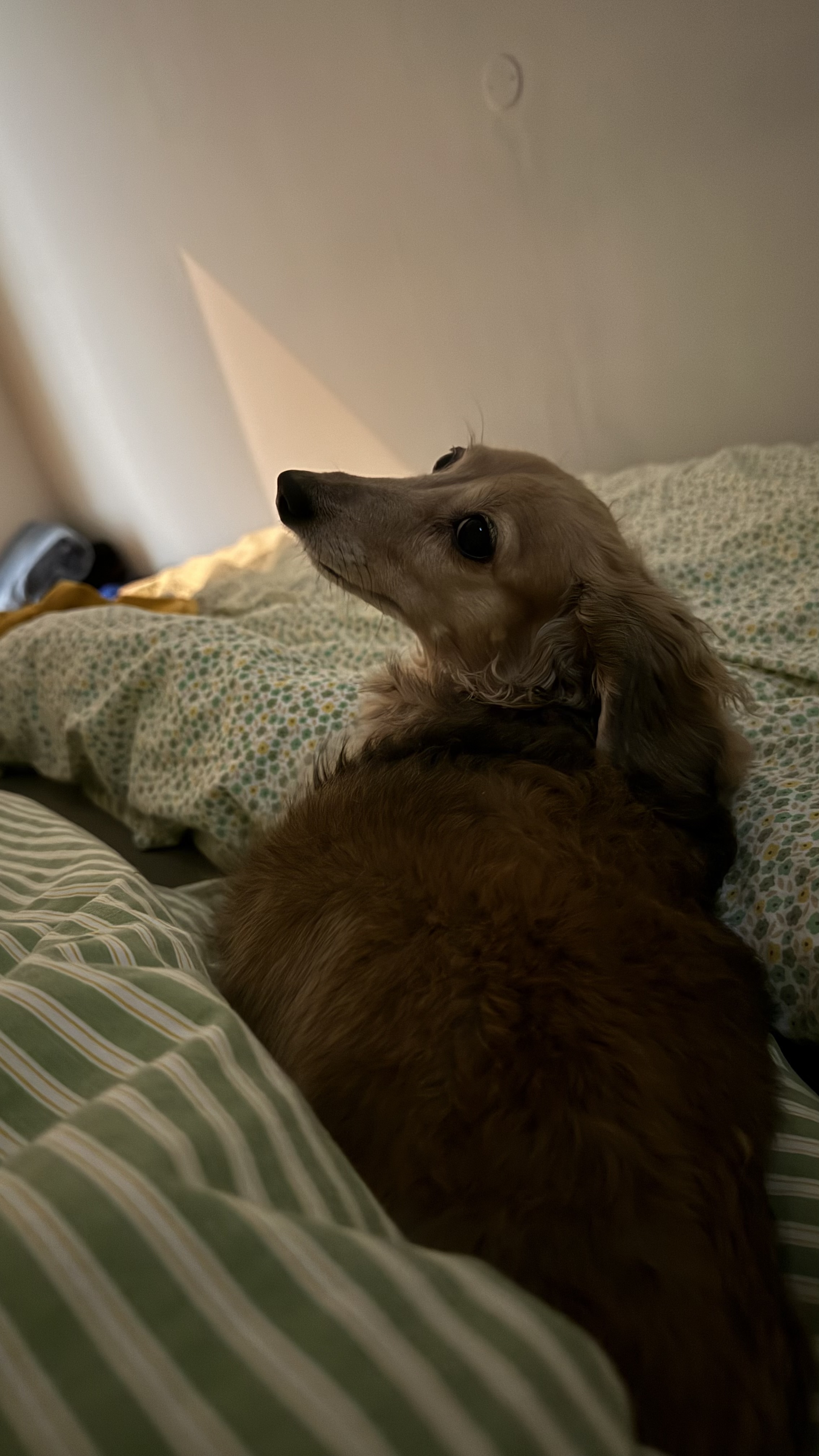 image-6