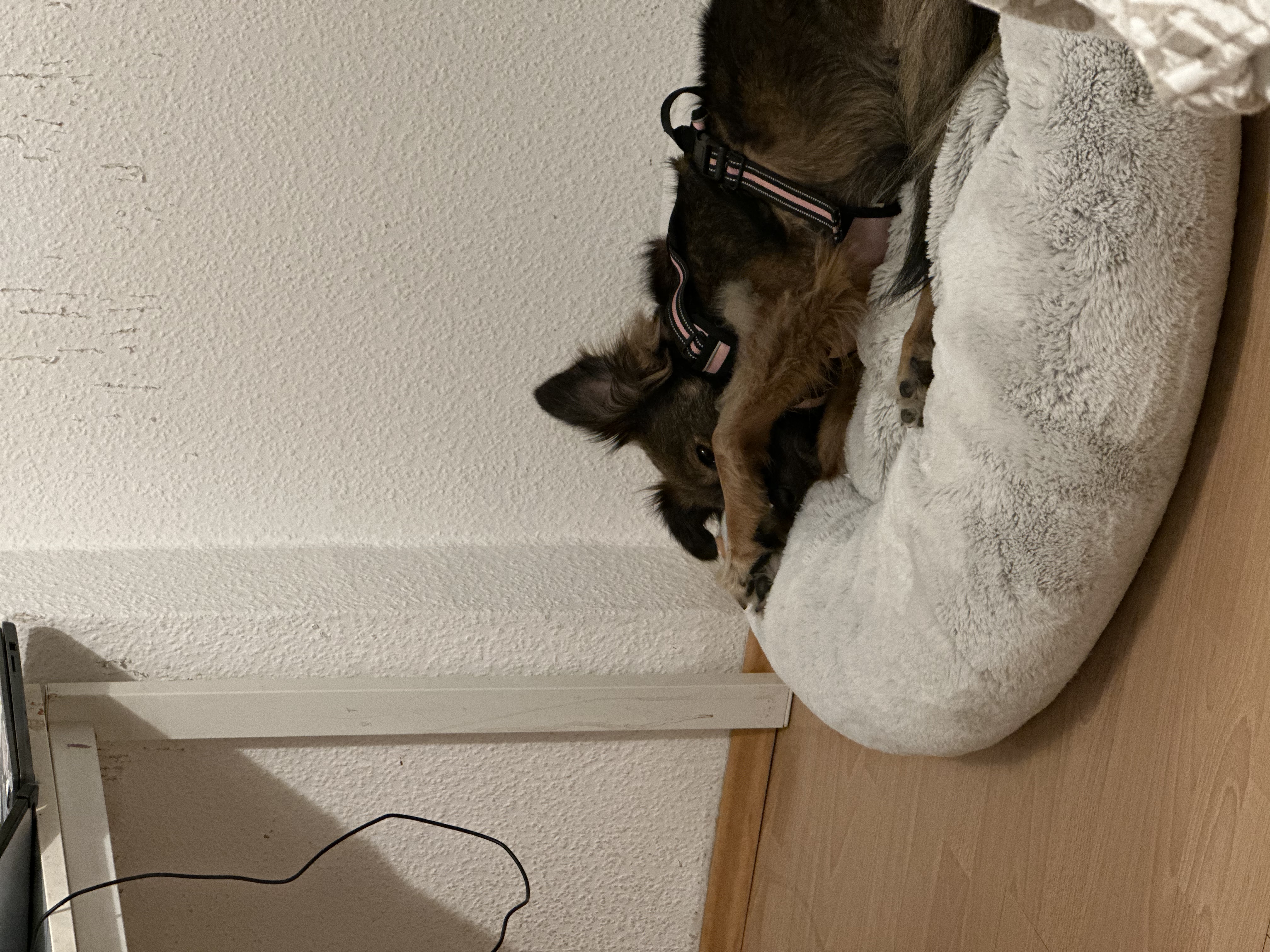 image-34