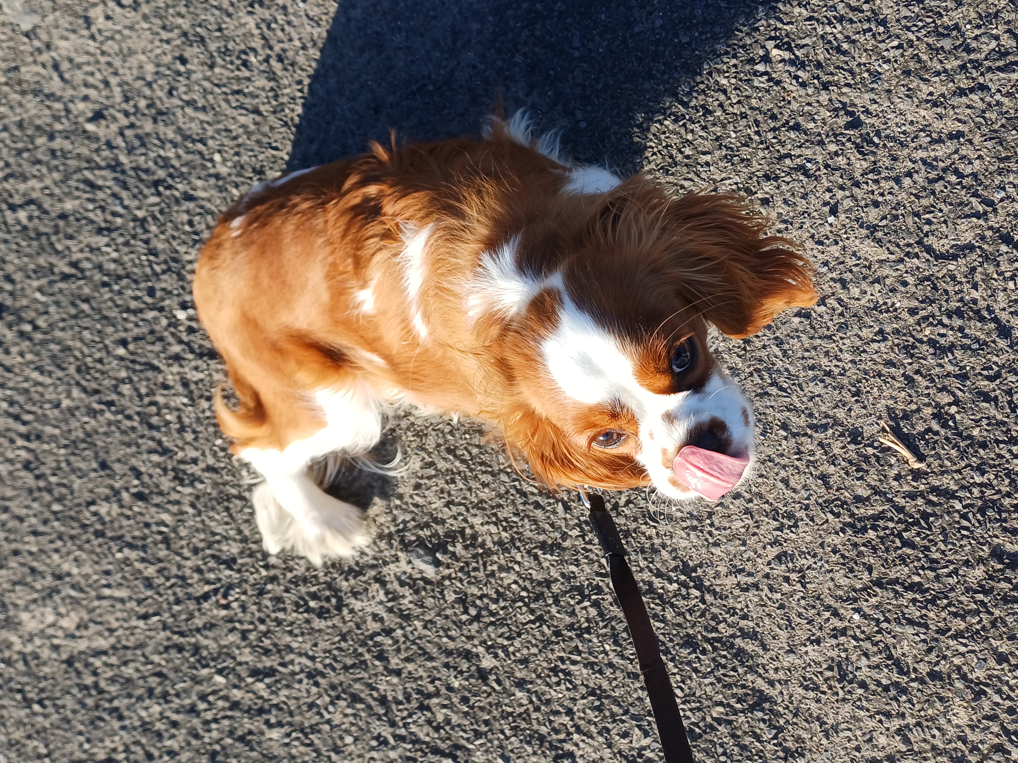 image-8