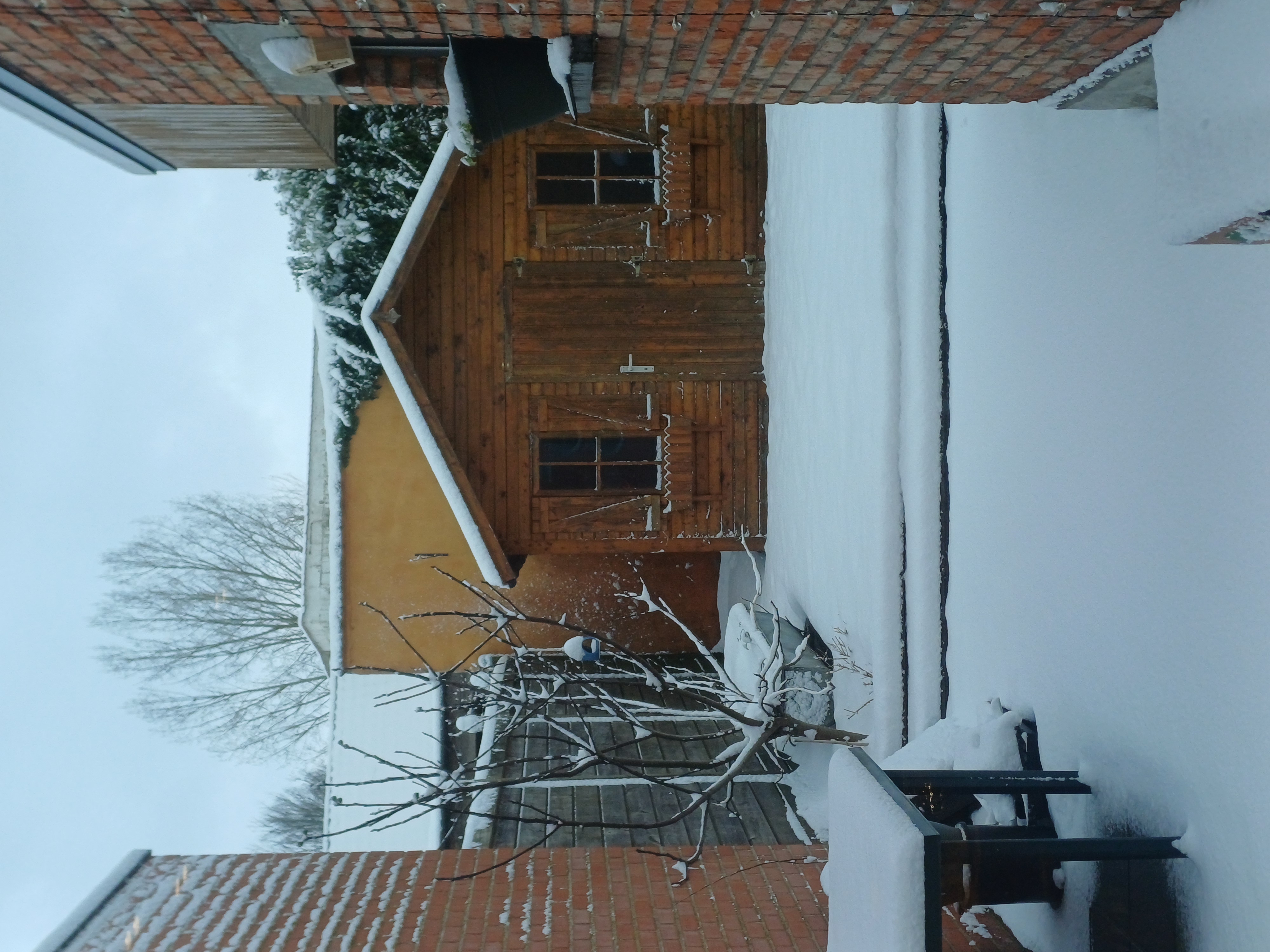 image-17
