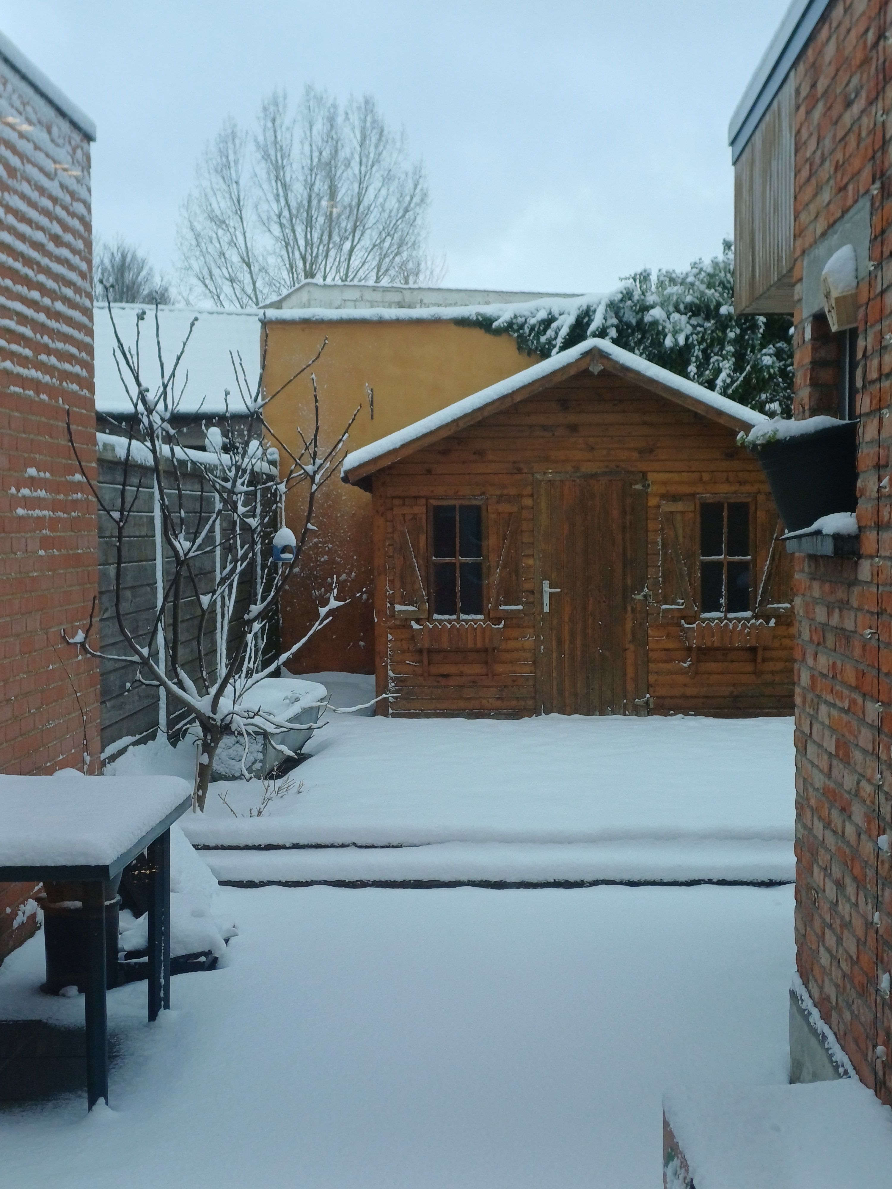 image-17