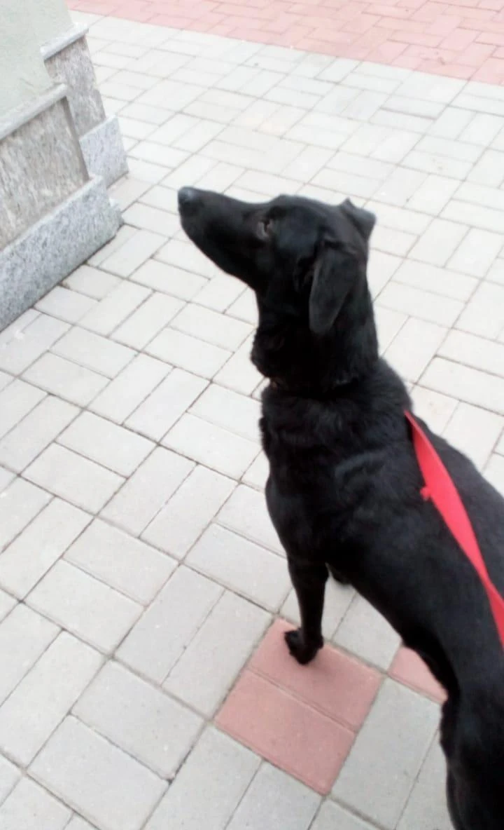 image-7