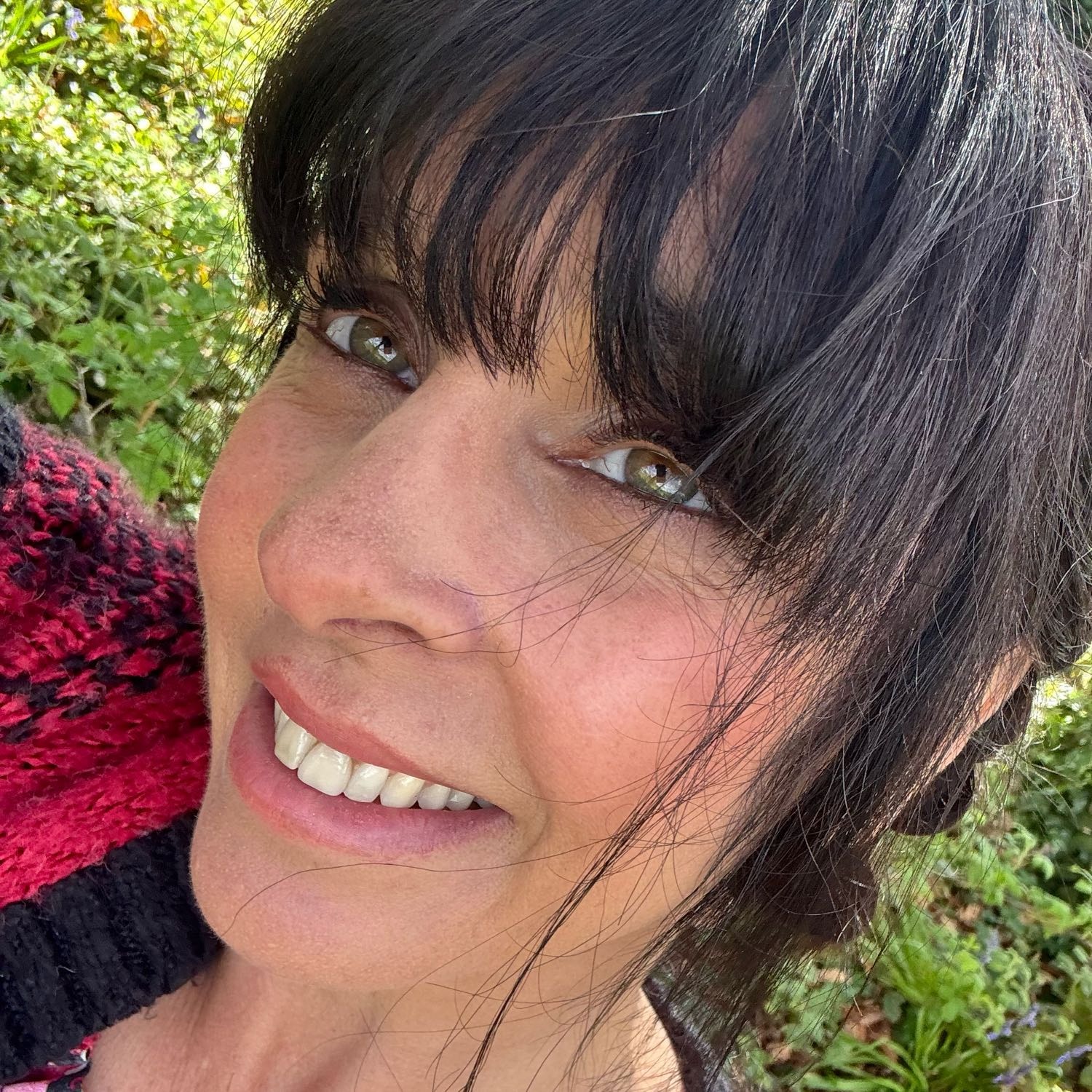 Hounds on the Ground