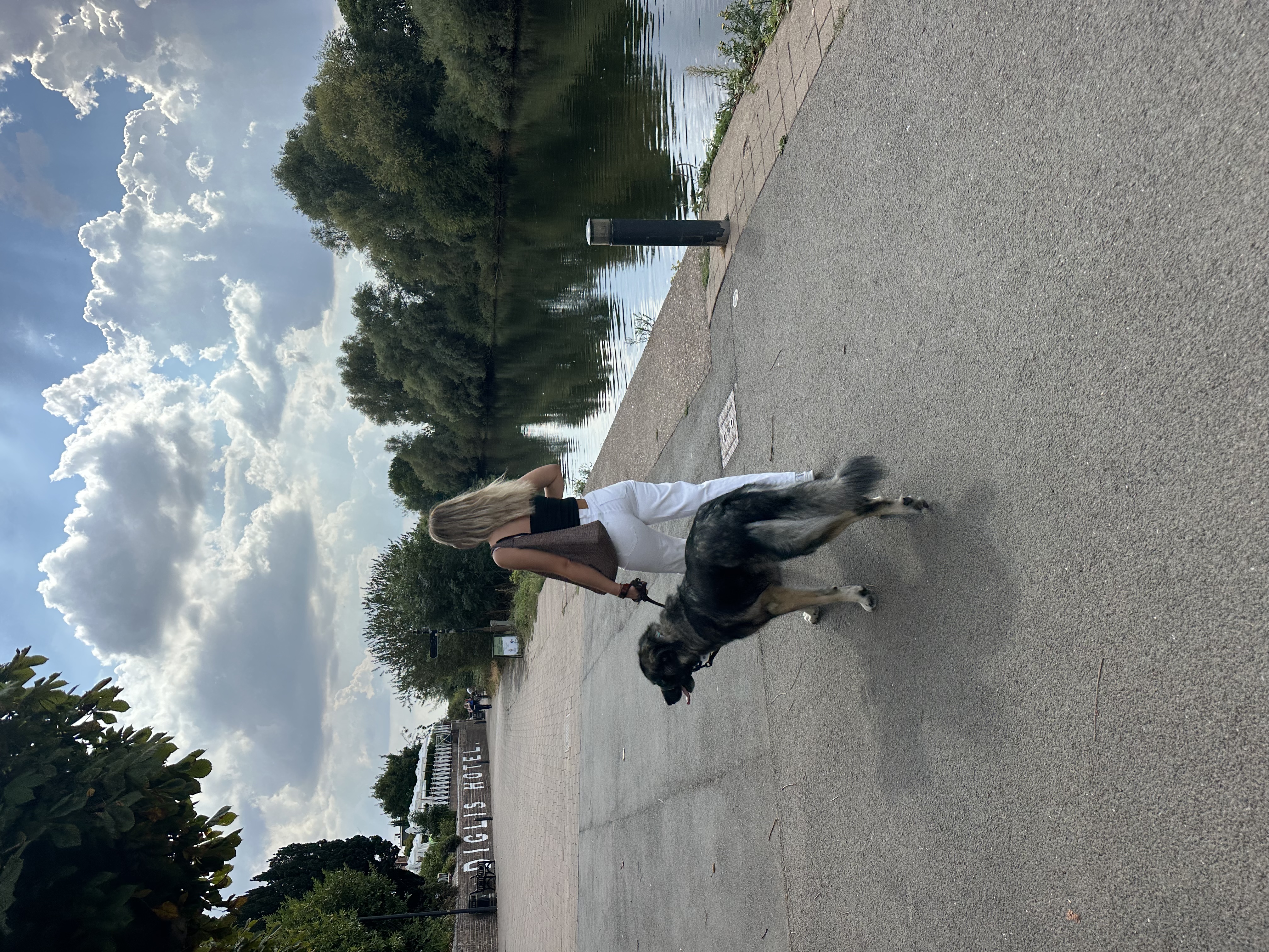 image-16
