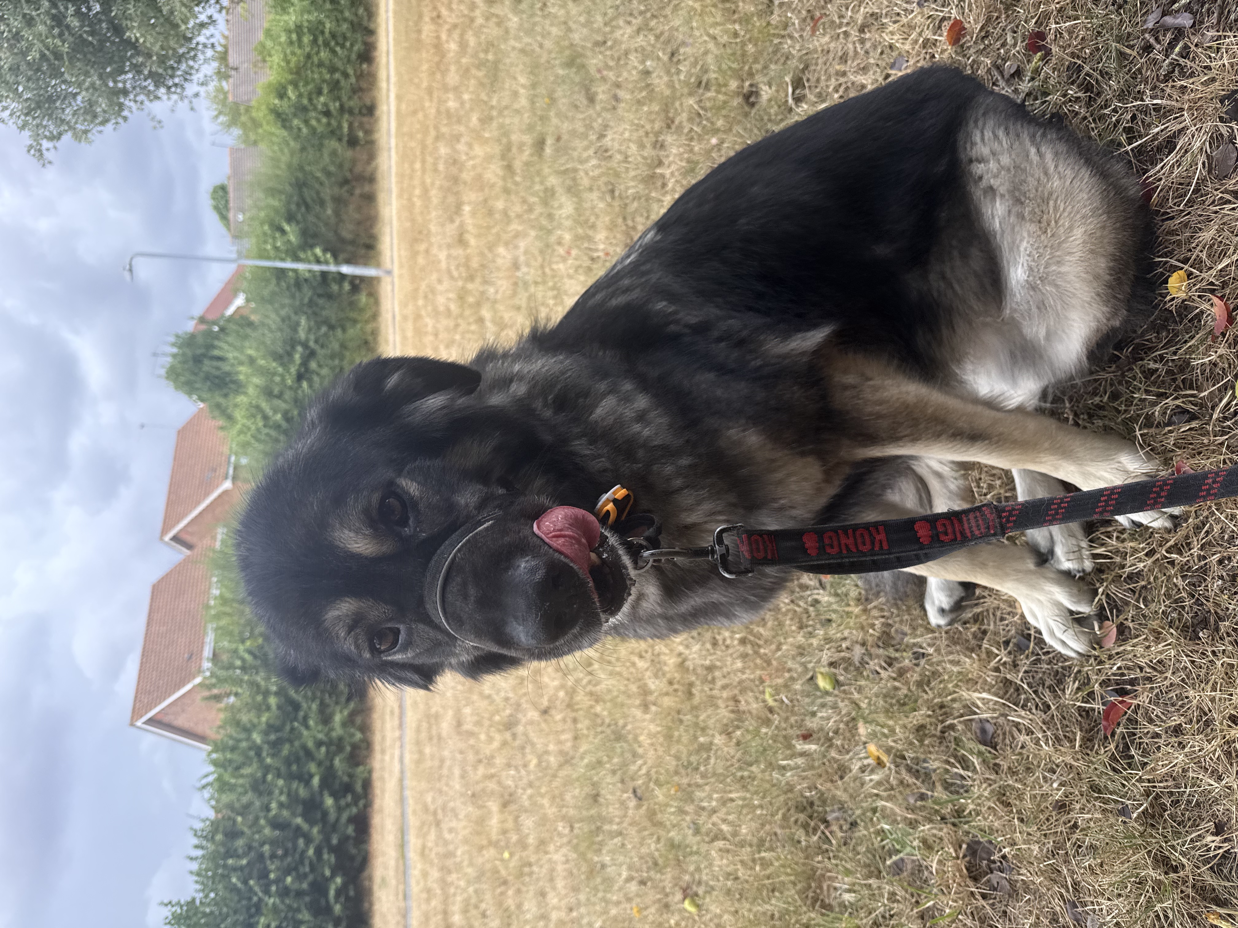 image-17