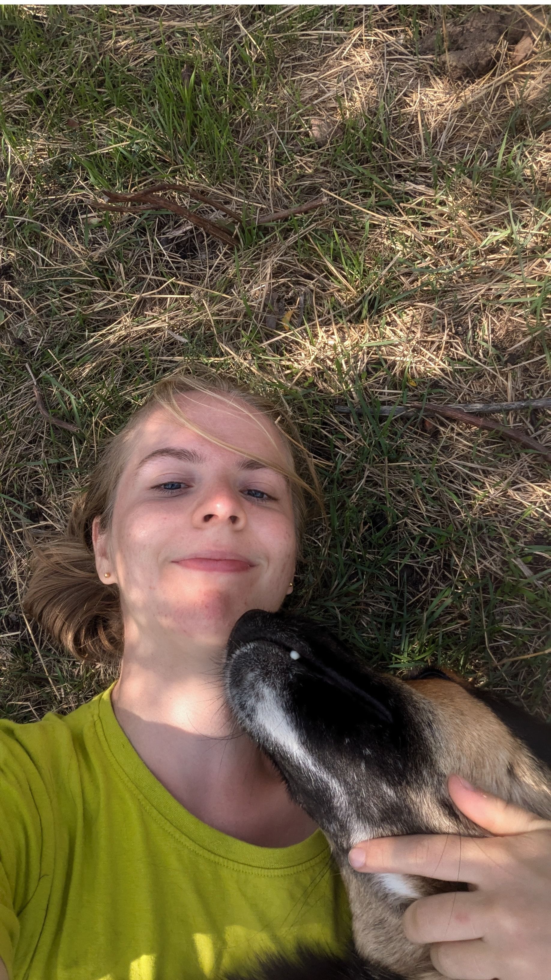image-7