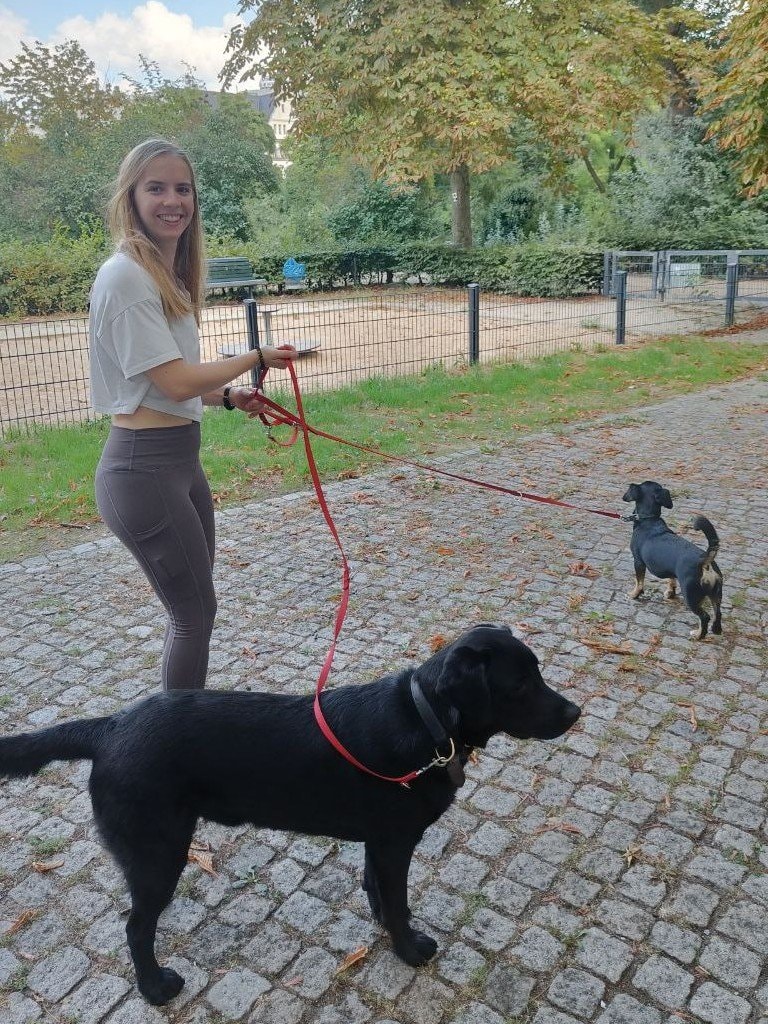 image-0