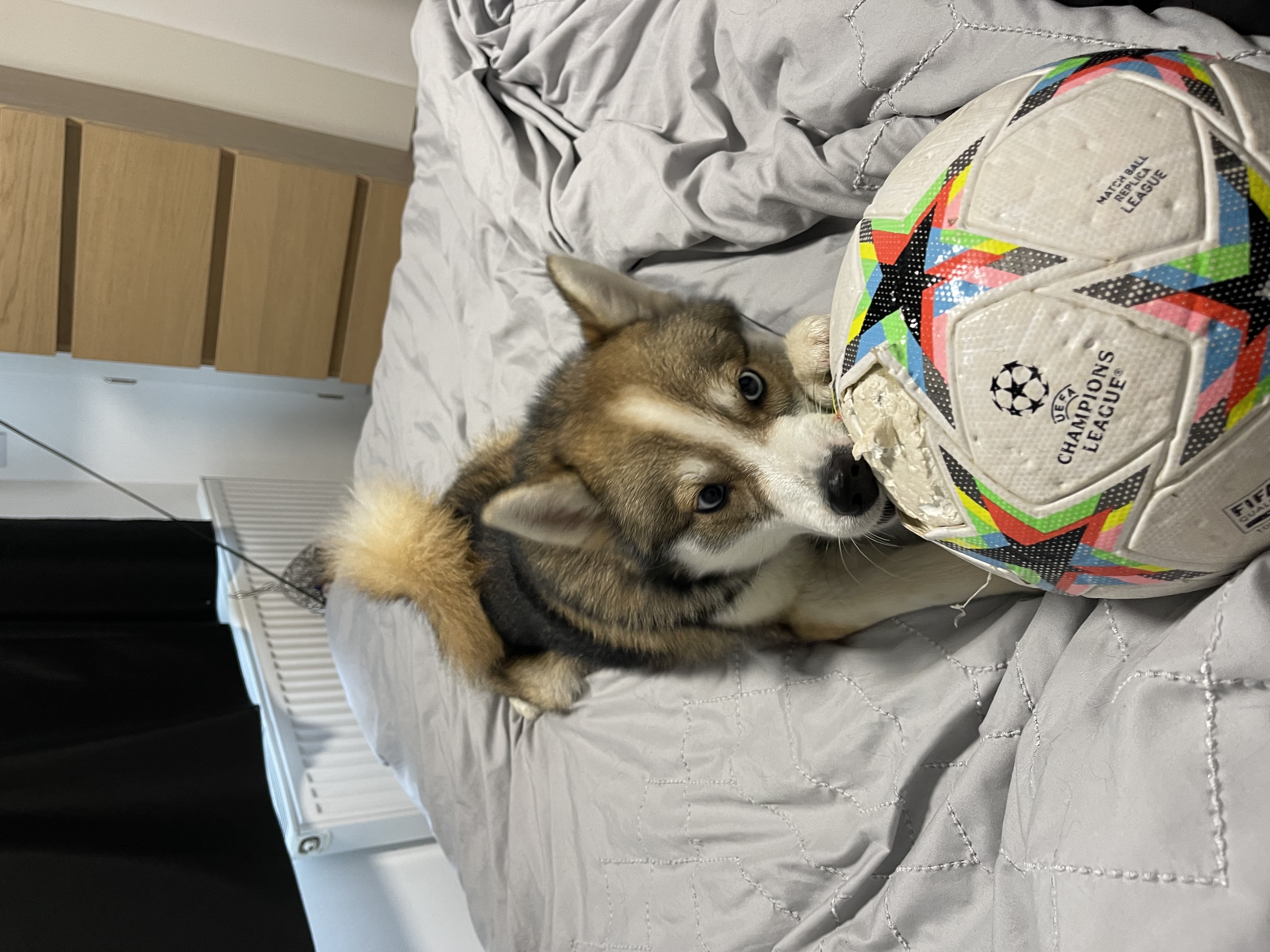 image-8
