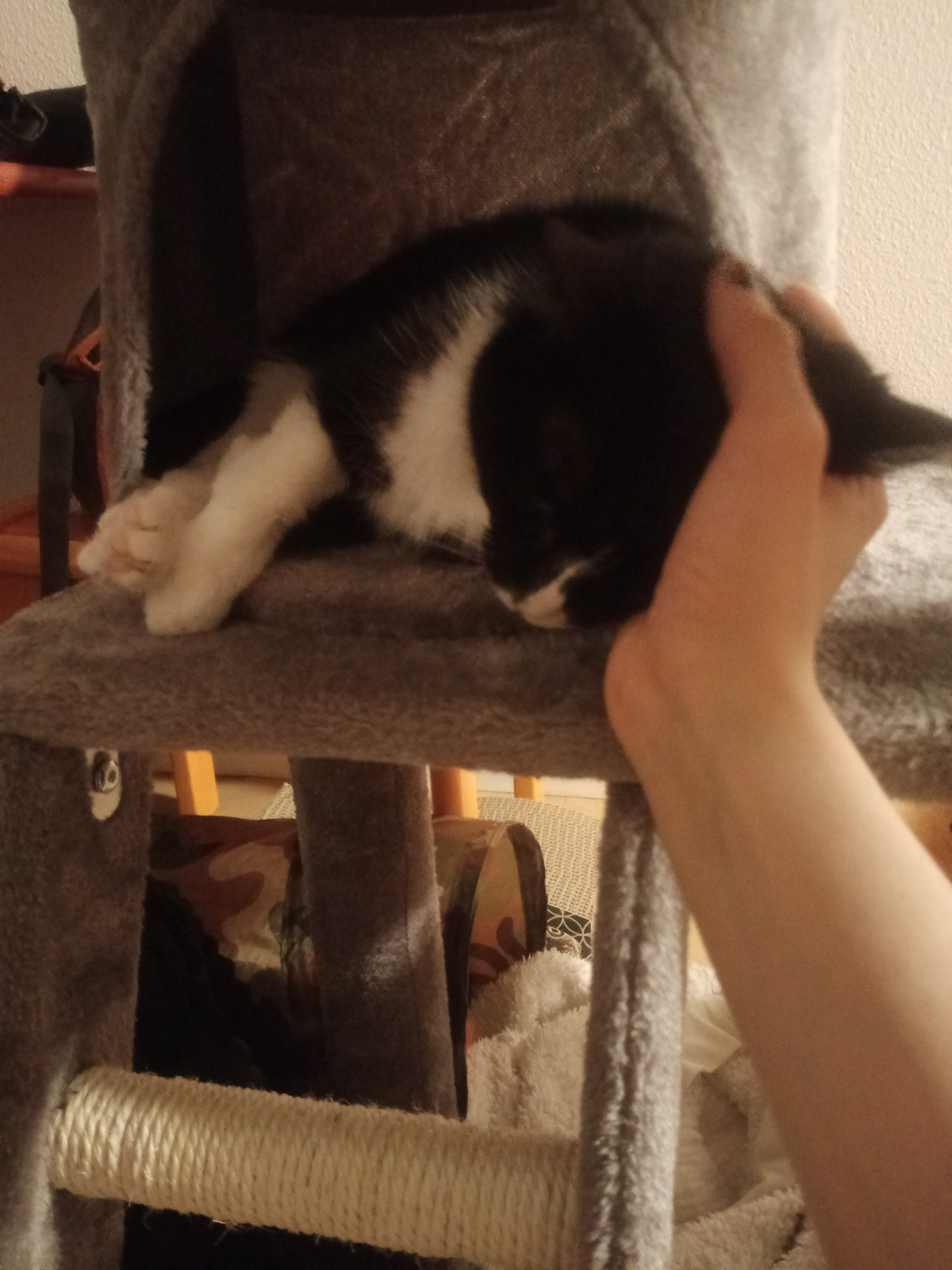 image-6