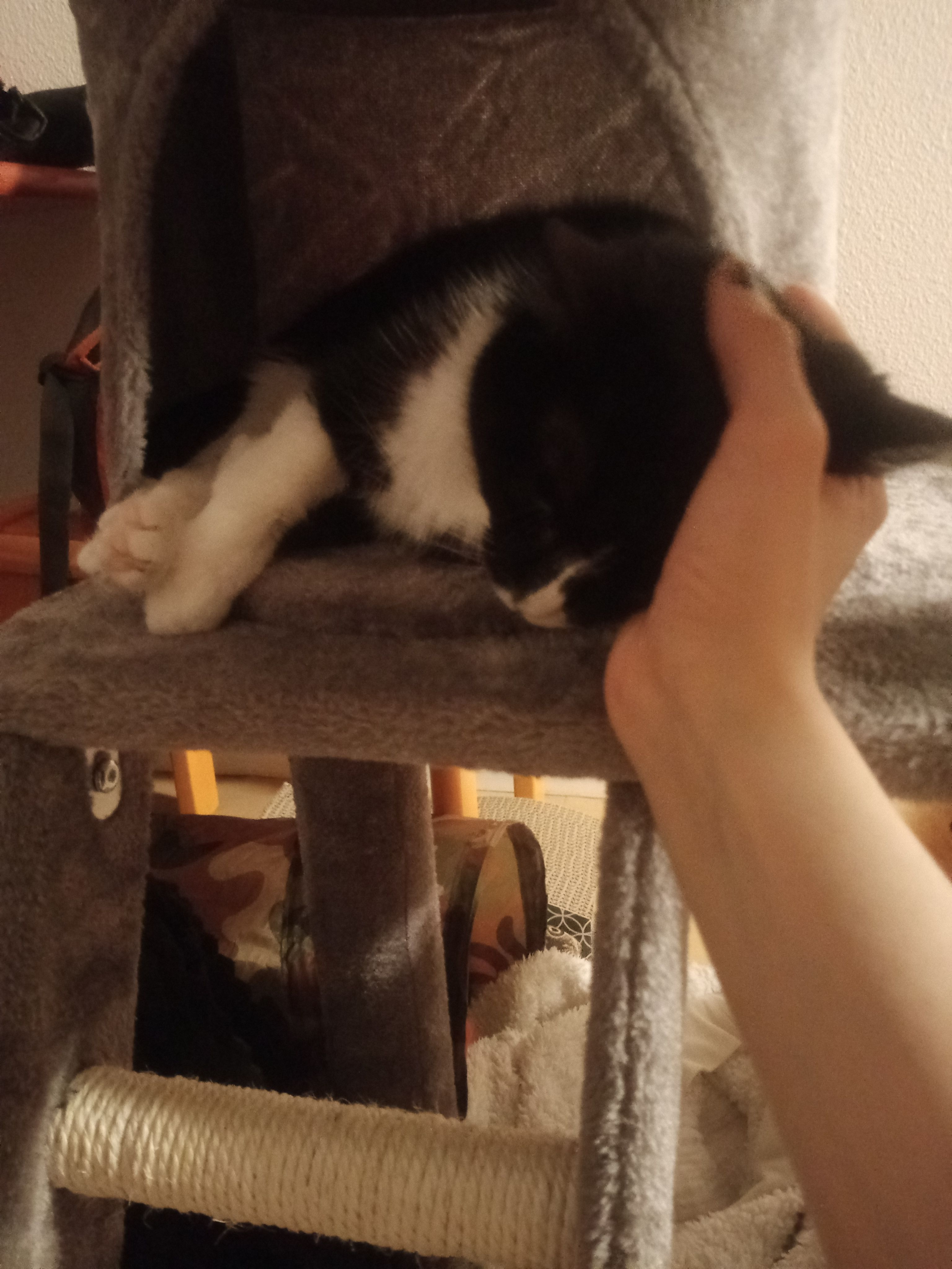 image-6