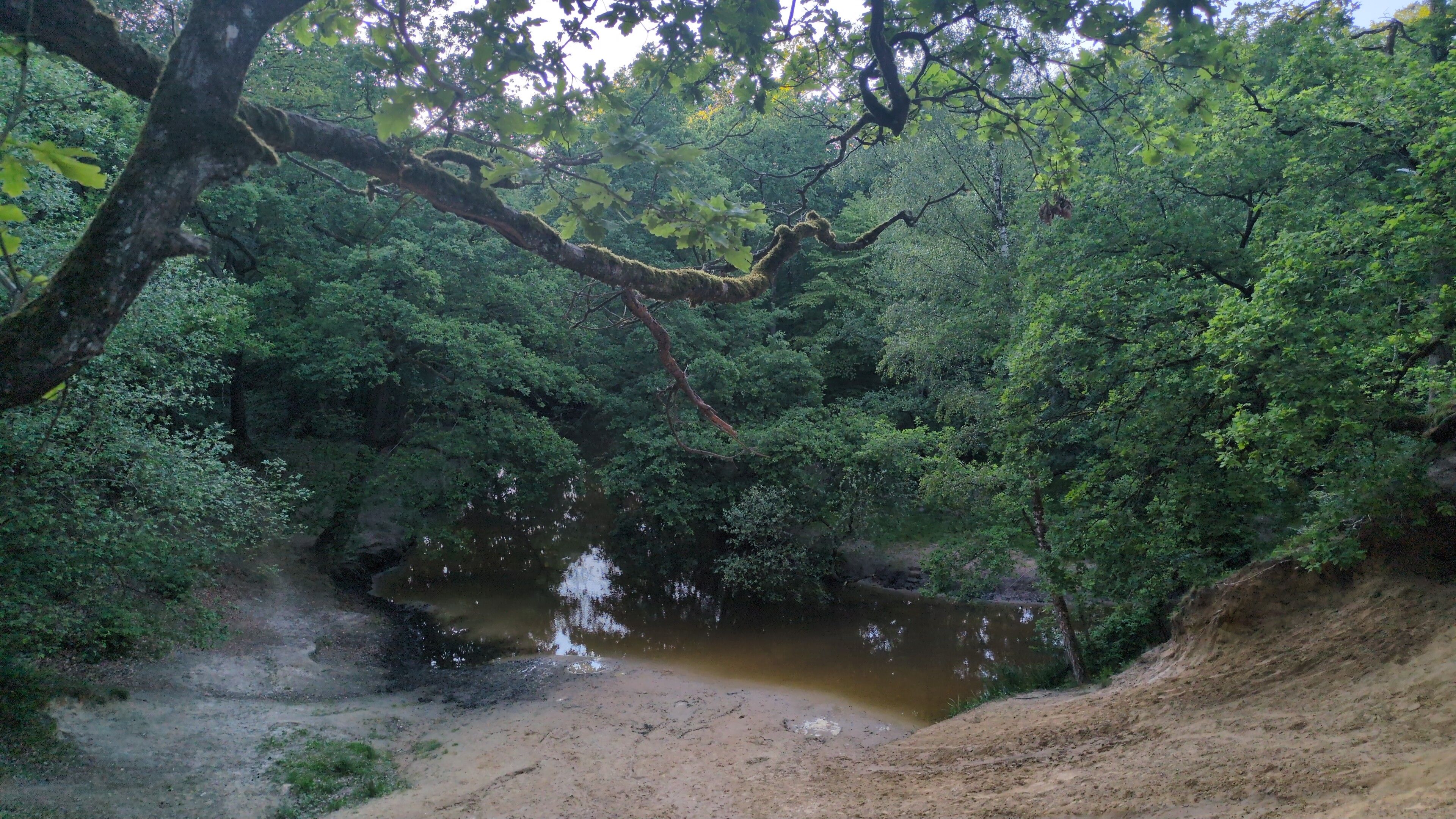 image-15