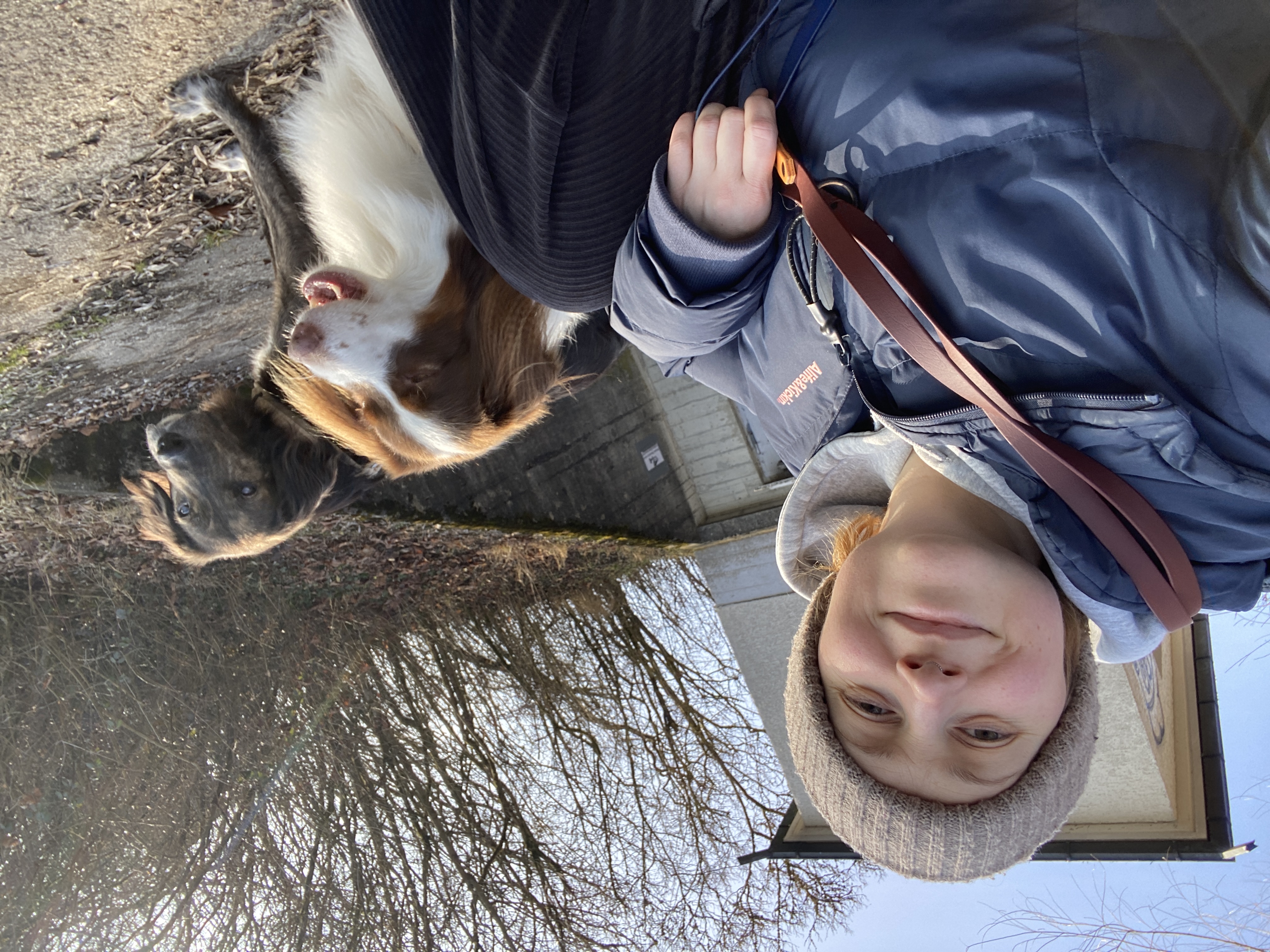 image-2