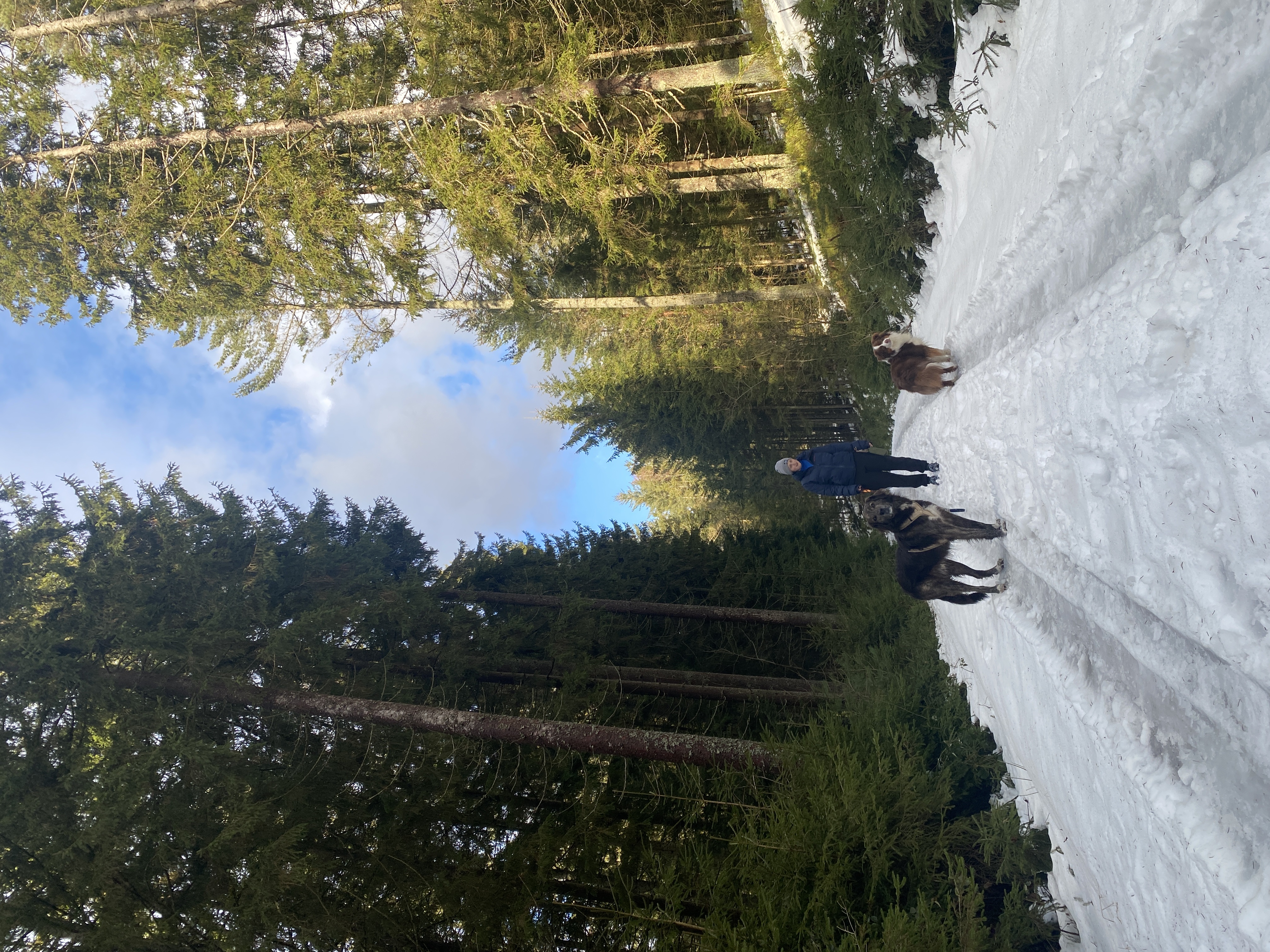 image-3