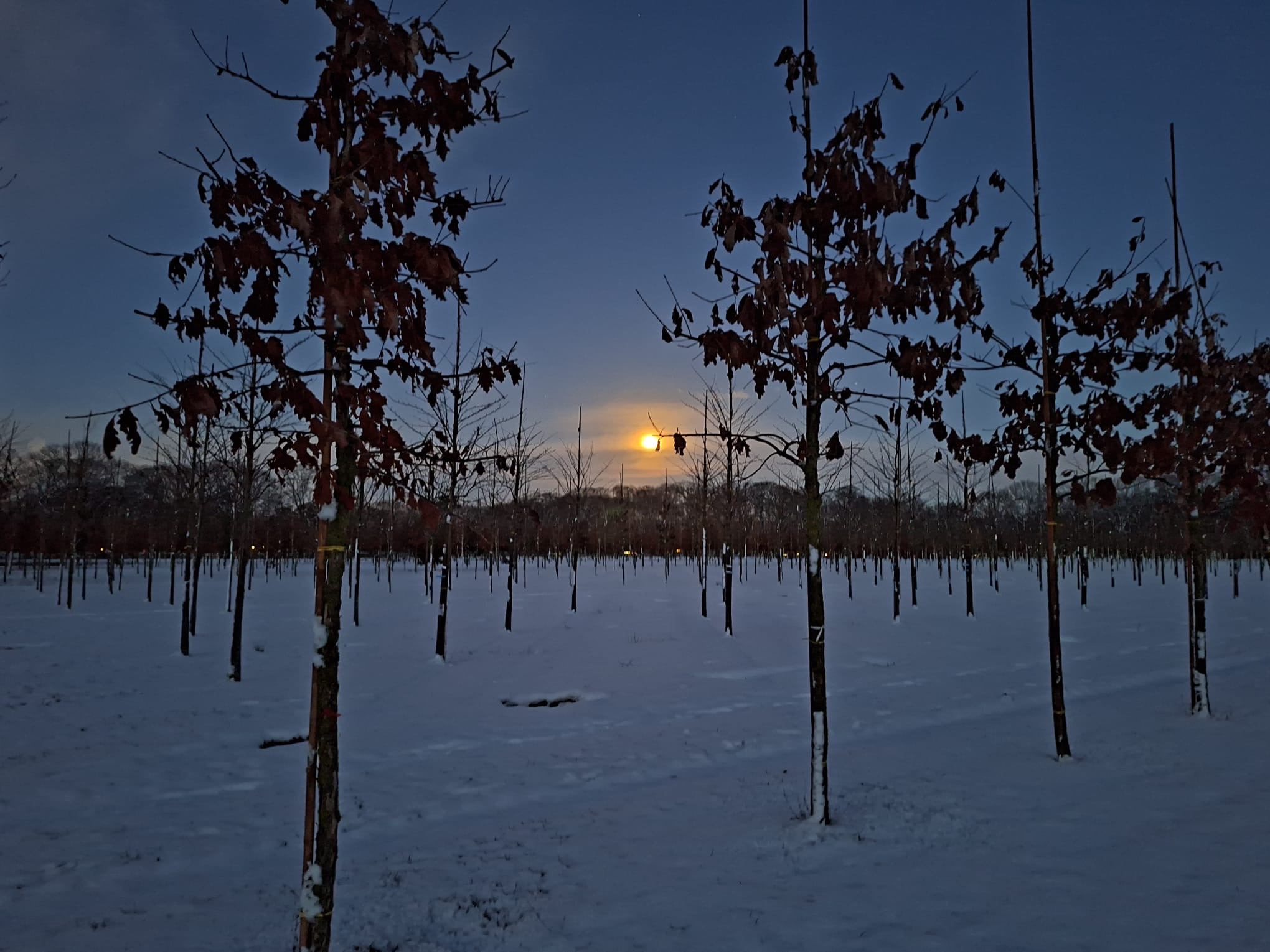 image-17