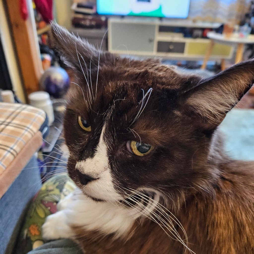 Max