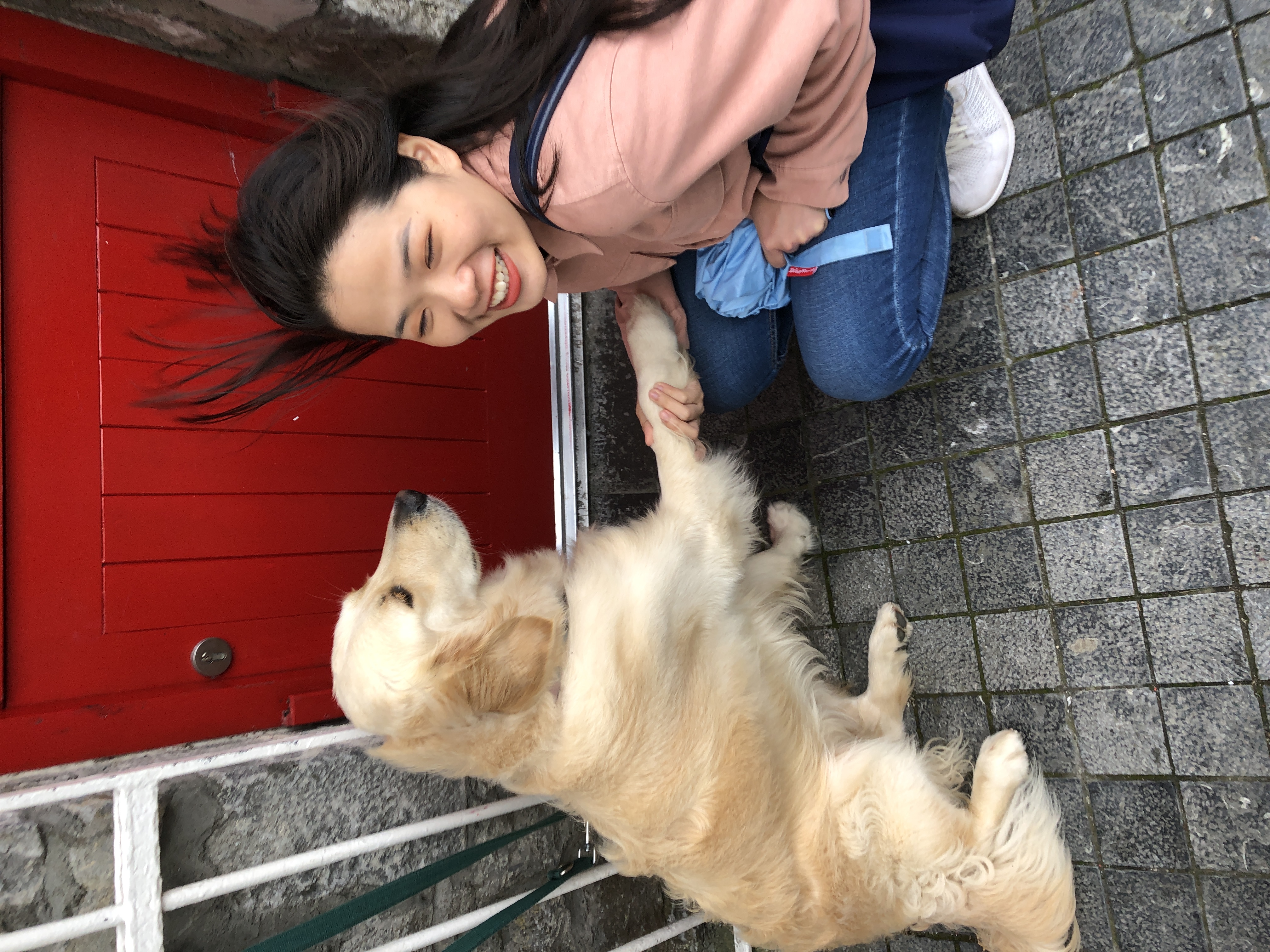 image-7