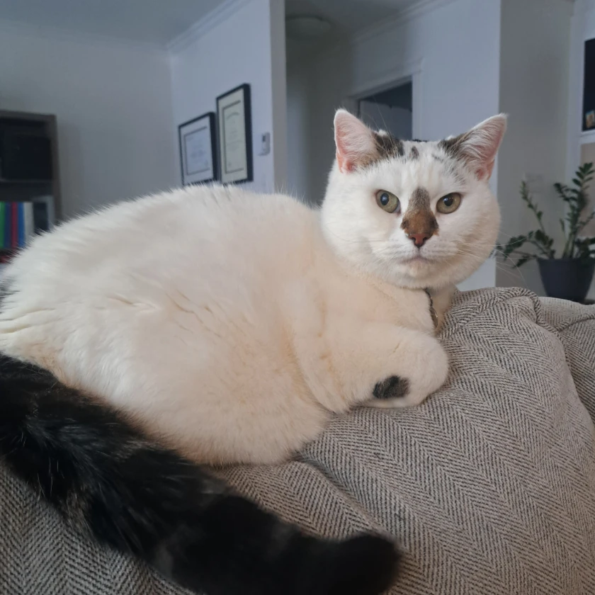 Betty