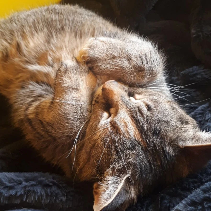 Léa 